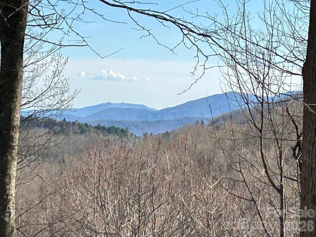 Lot 32 Strawberry Ridge RD, Little Switzerland, NC 28749