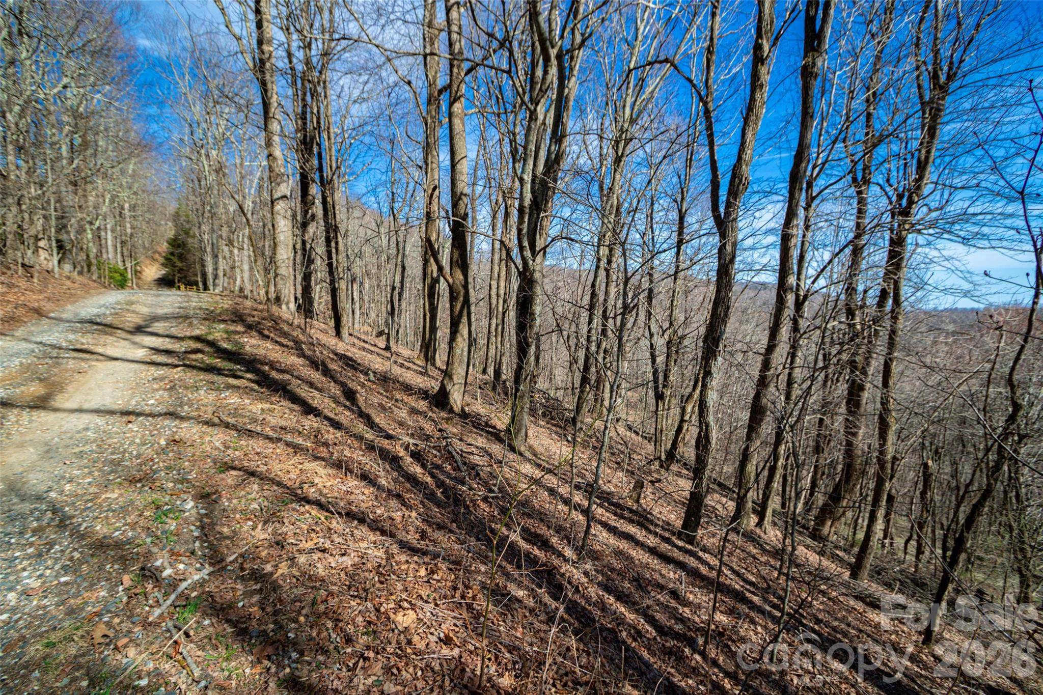 Lot 32 Strawberry Ridge RD, Little Switzerland, NC 28749