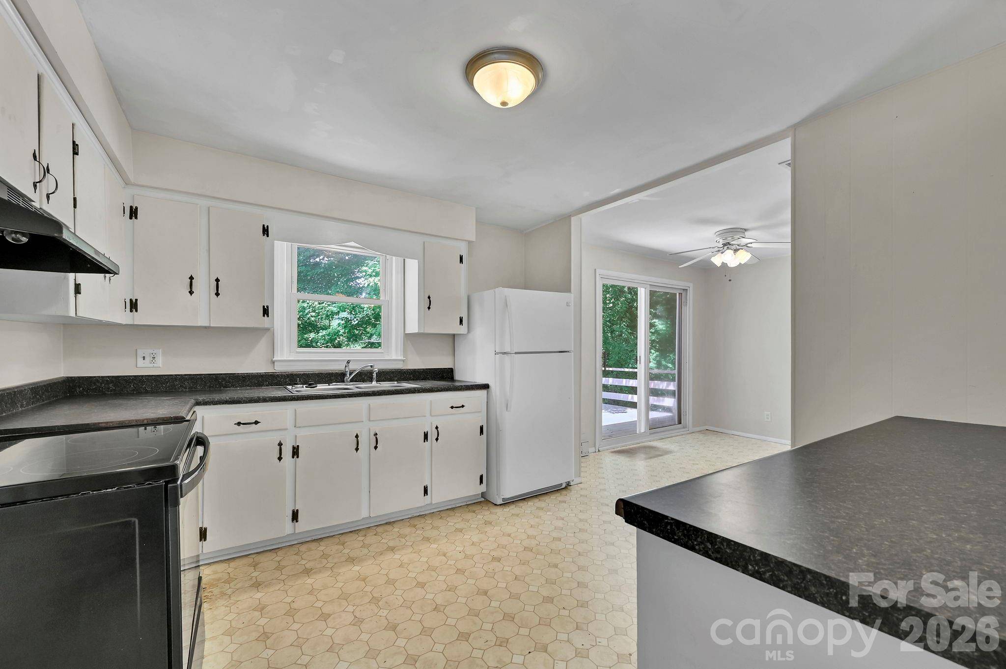 297 White Pine DR, Asheville, NC 28805