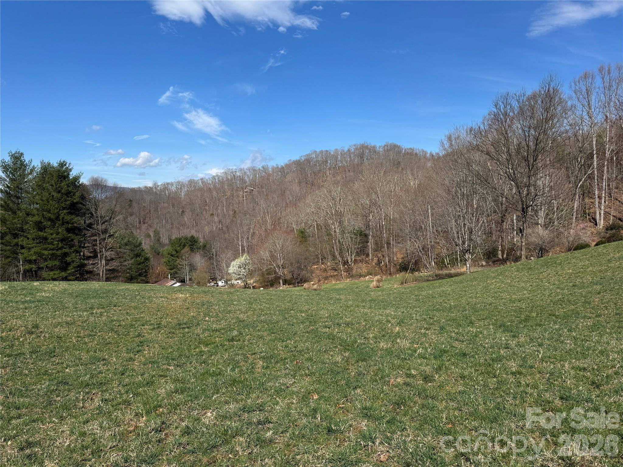270 Anielee LN, Clyde, NC 28721
