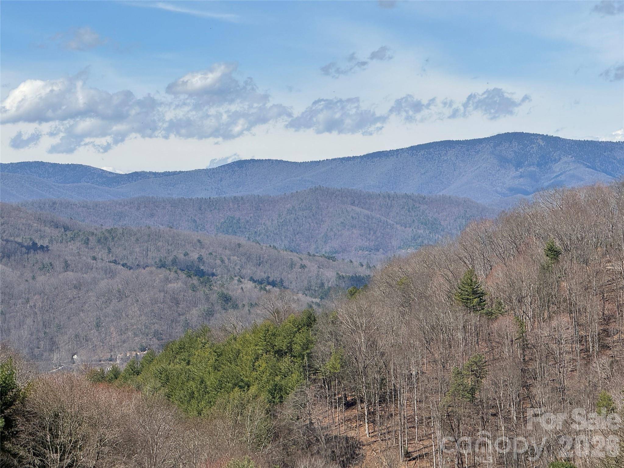 270 Anielee LN, Clyde, NC 28721
