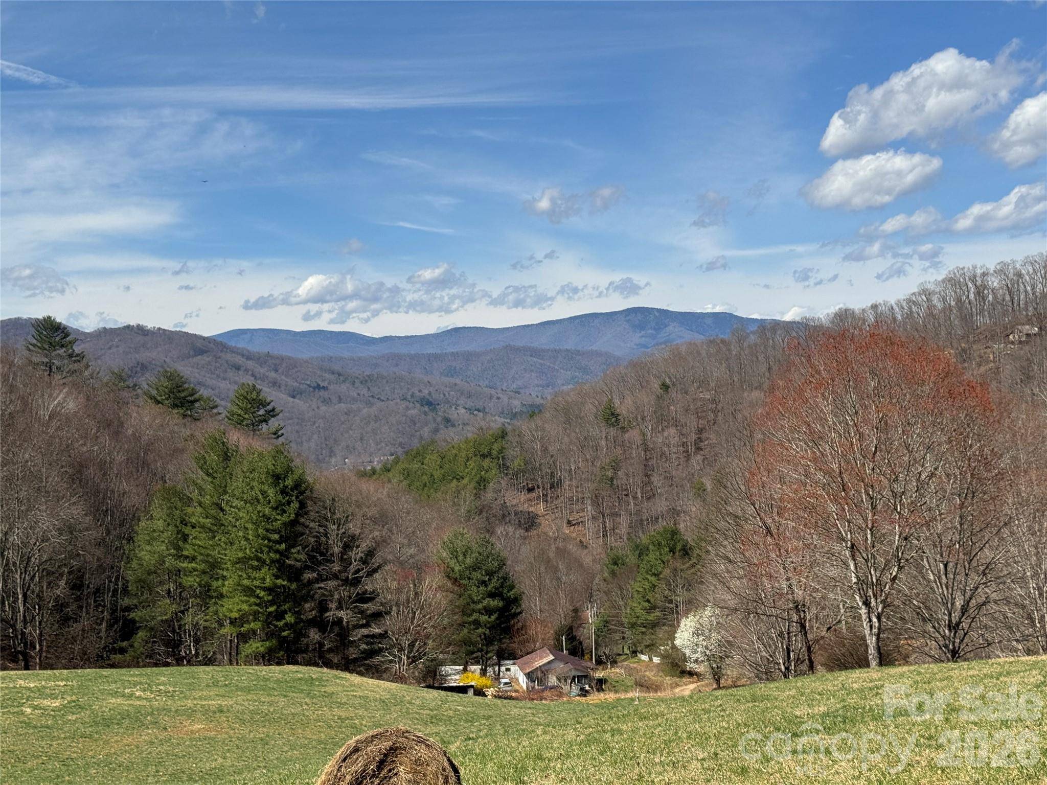 270 Anielee LN, Clyde, NC 28721