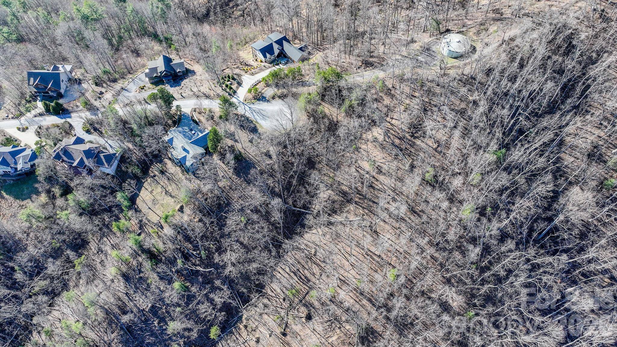 99999 High Bluff DR, Weaverville, NC 28787