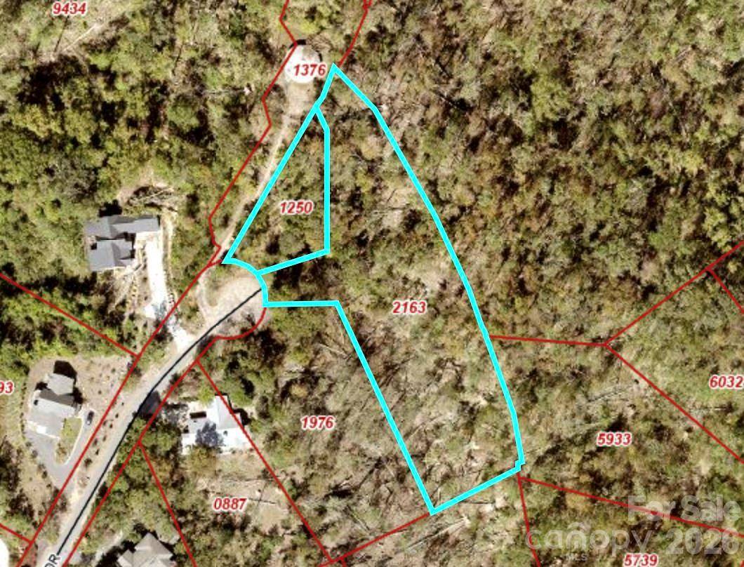 99999 High Bluff DR, Weaverville, NC 28787