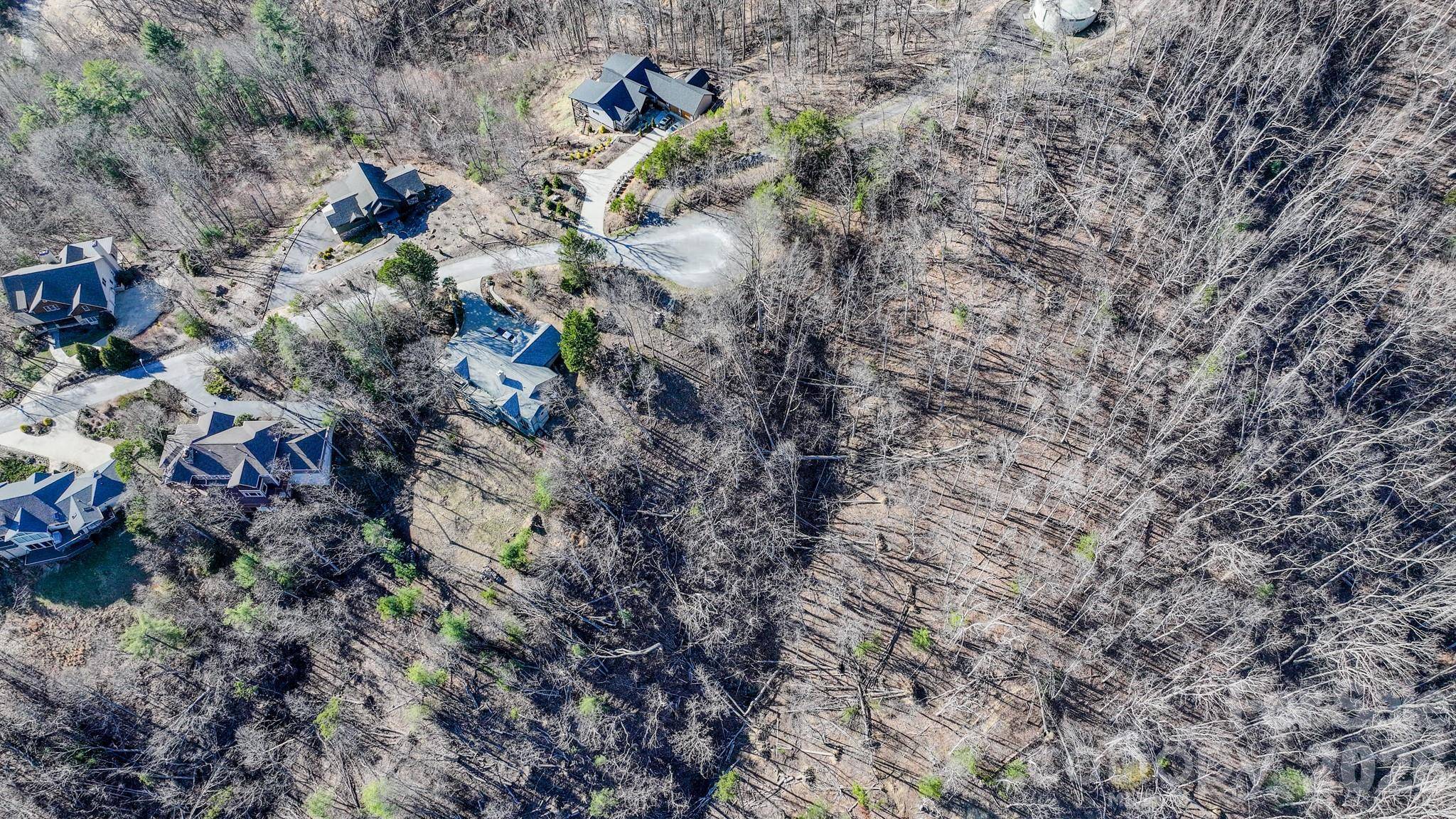 99999 High Bluff DR, Weaverville, NC 28787