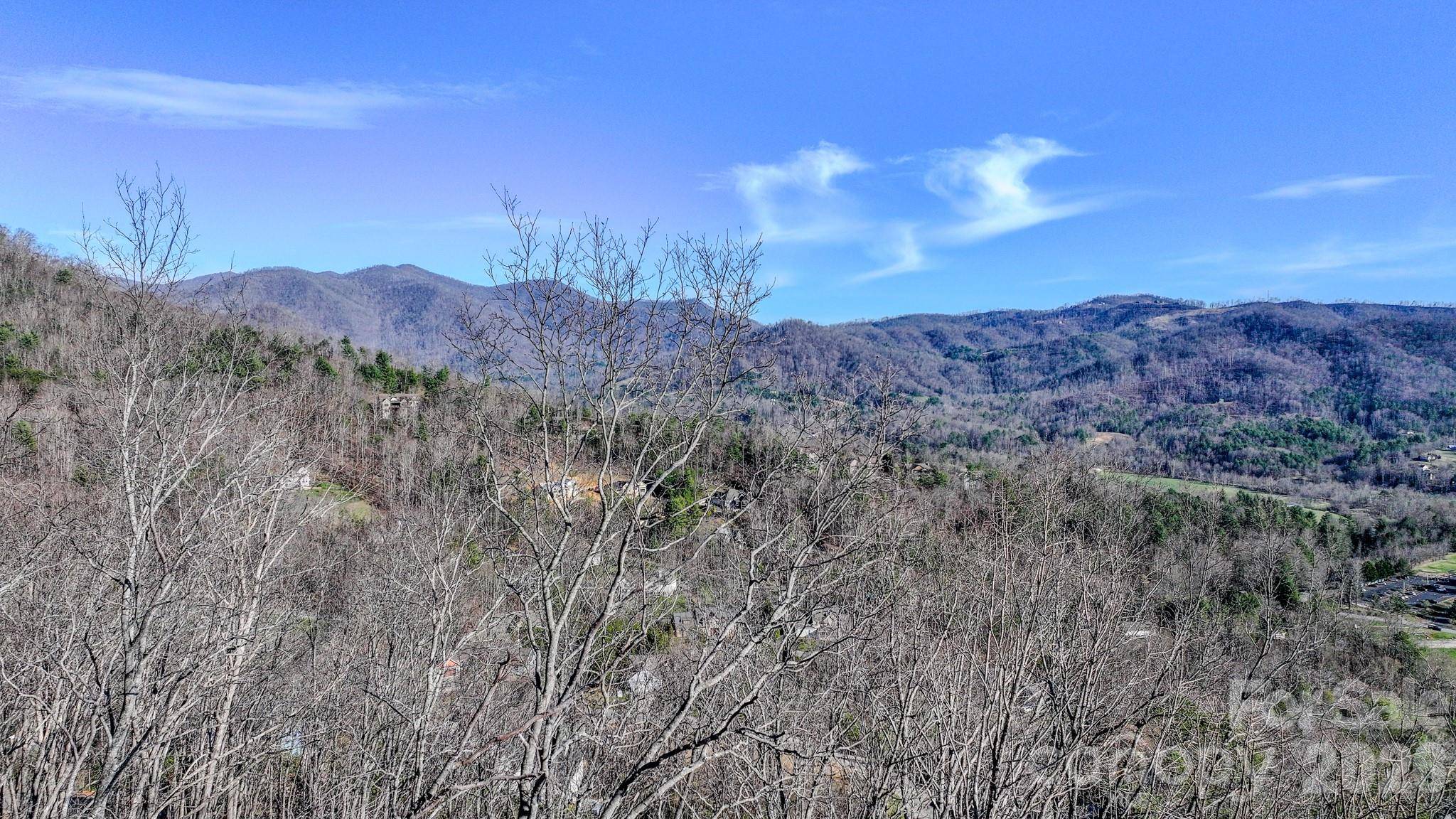 99999 High Bluff DR, Weaverville, NC 28787