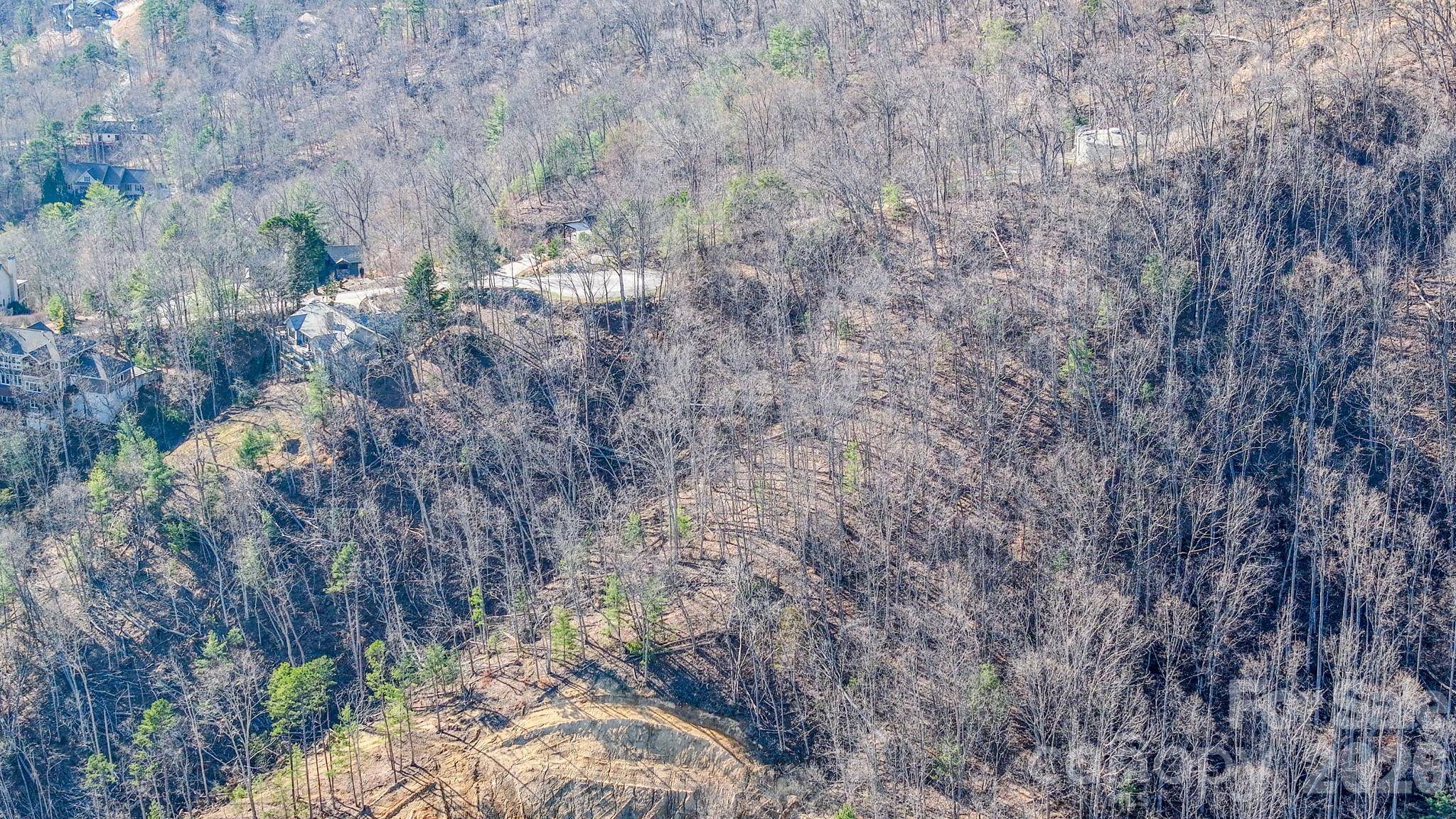 99999 High Bluff DR, Weaverville, NC 28787