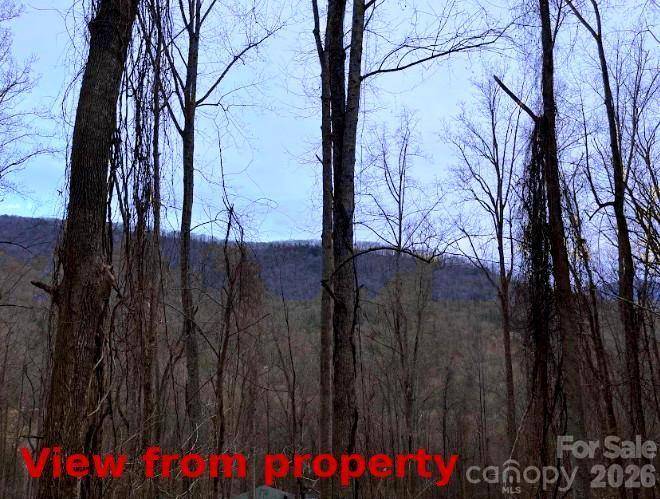 89 Weeping Cherry Forest RD, Fairview, NC 28730