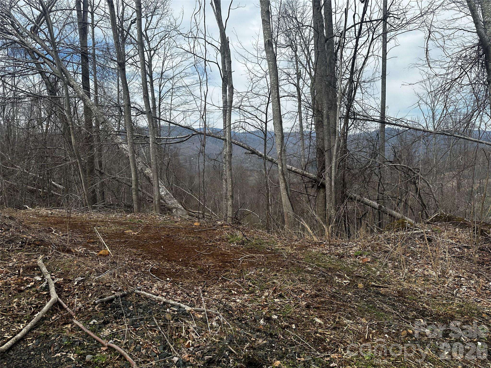 00 Bear Ridge RD, Bakersville, NC 28705