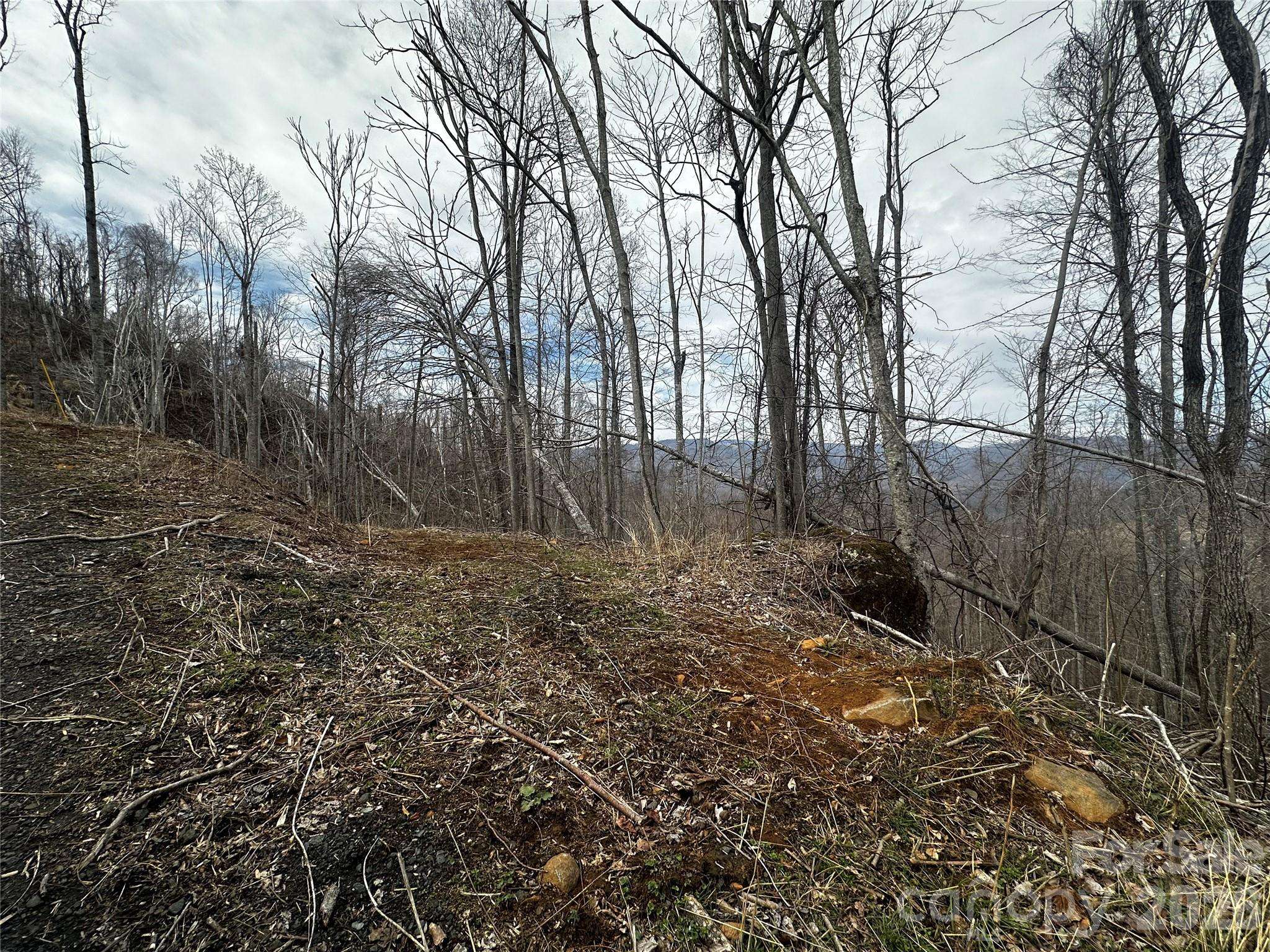 00 Bear Ridge RD, Bakersville, NC 28705