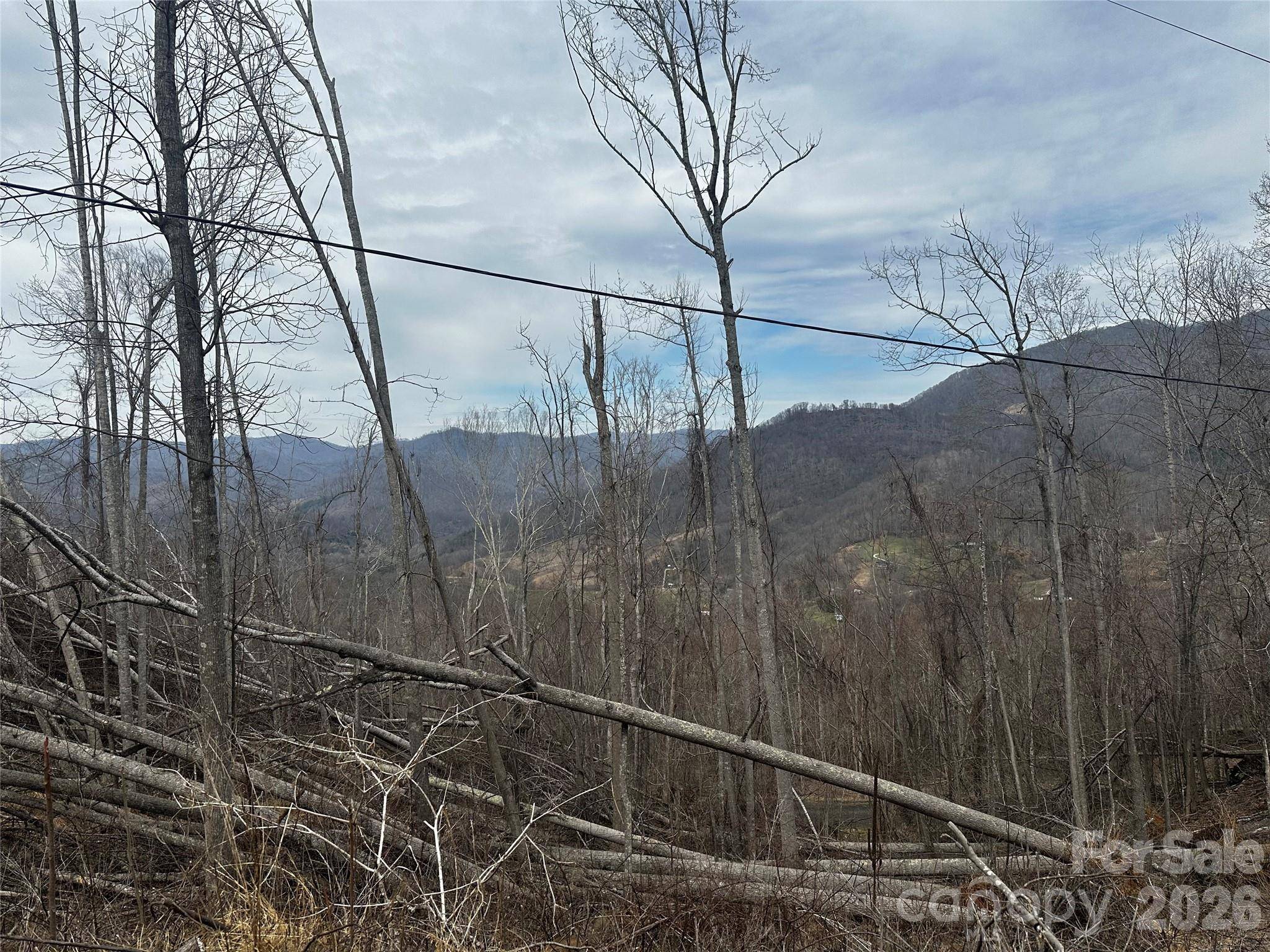 00 Bear Ridge RD, Bakersville, NC 28705