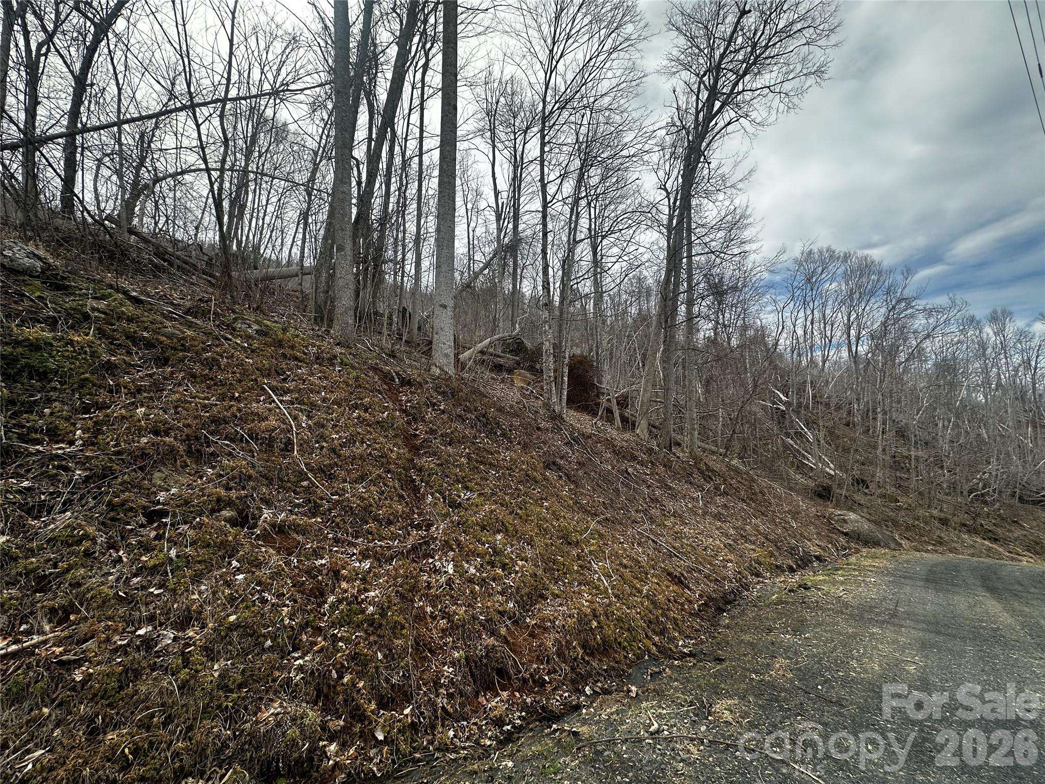 00 Bear Ridge RD, Bakersville, NC 28705