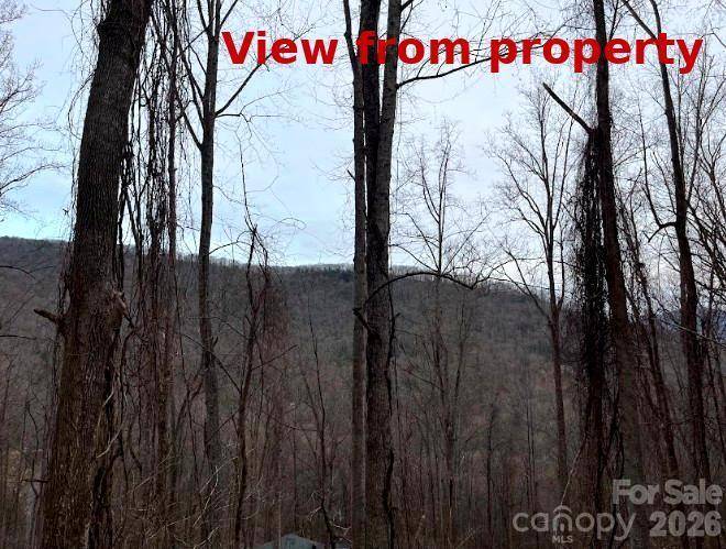 65 Weeping Cherry Forest RD, Fairview, NC 28730
