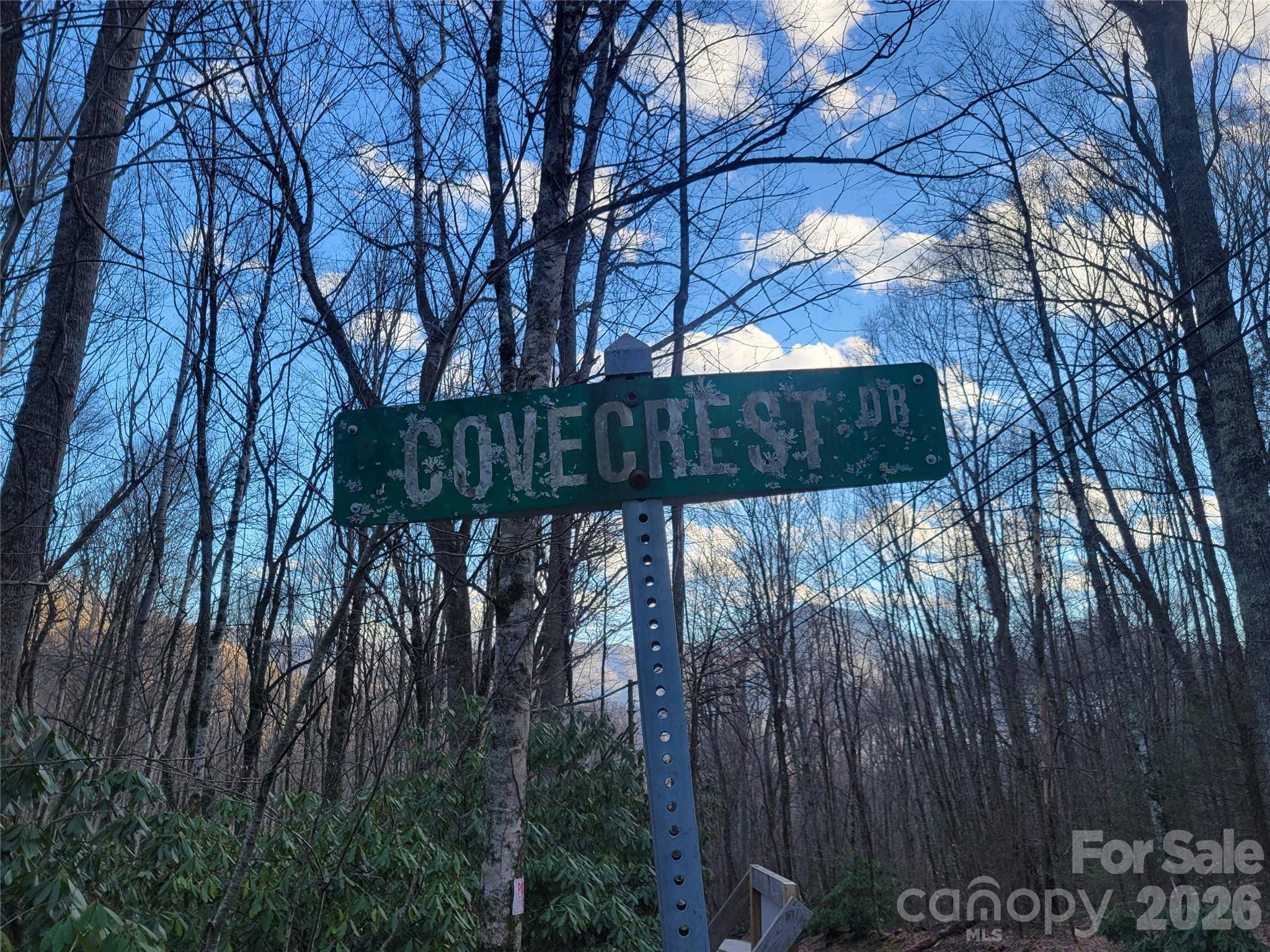 00 Covecrest LN #11 & 13, Maggie Valley, NC 28751