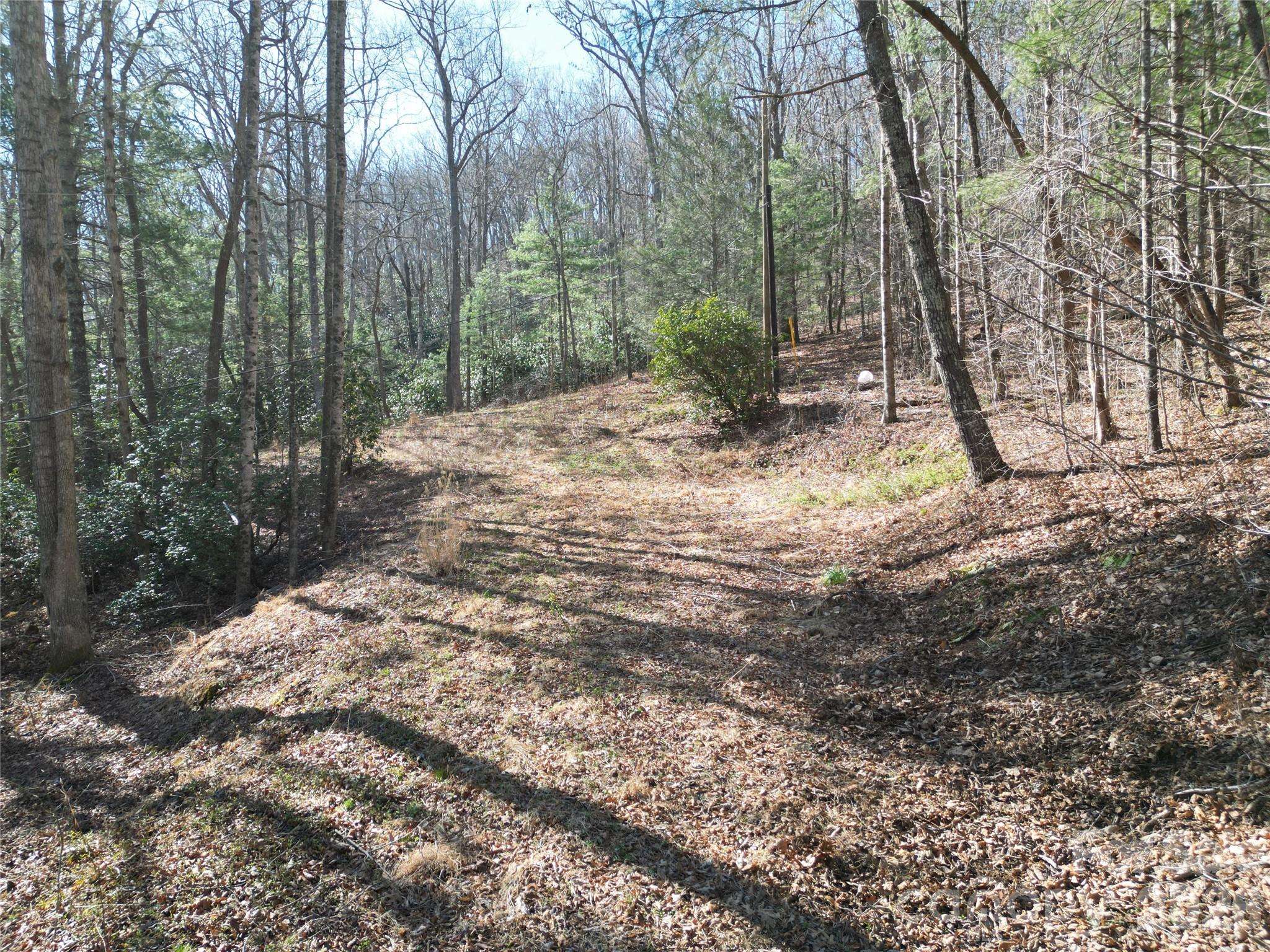 49 Reeds Creek RD, Fairview, NC 28730