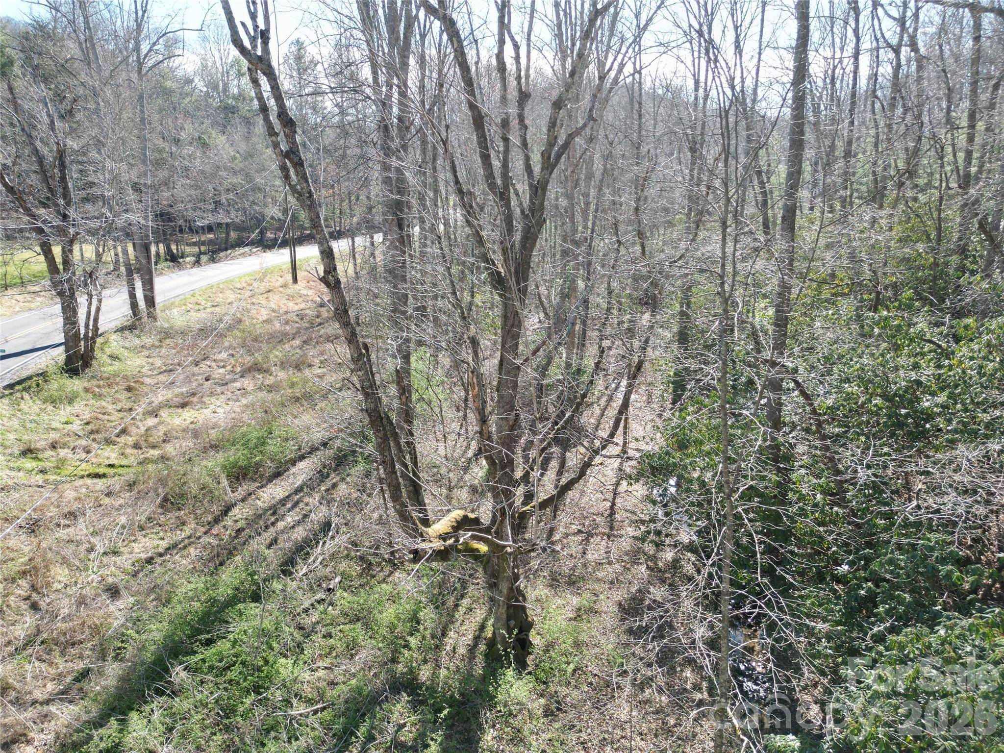 49 Reeds Creek RD, Fairview, NC 28730