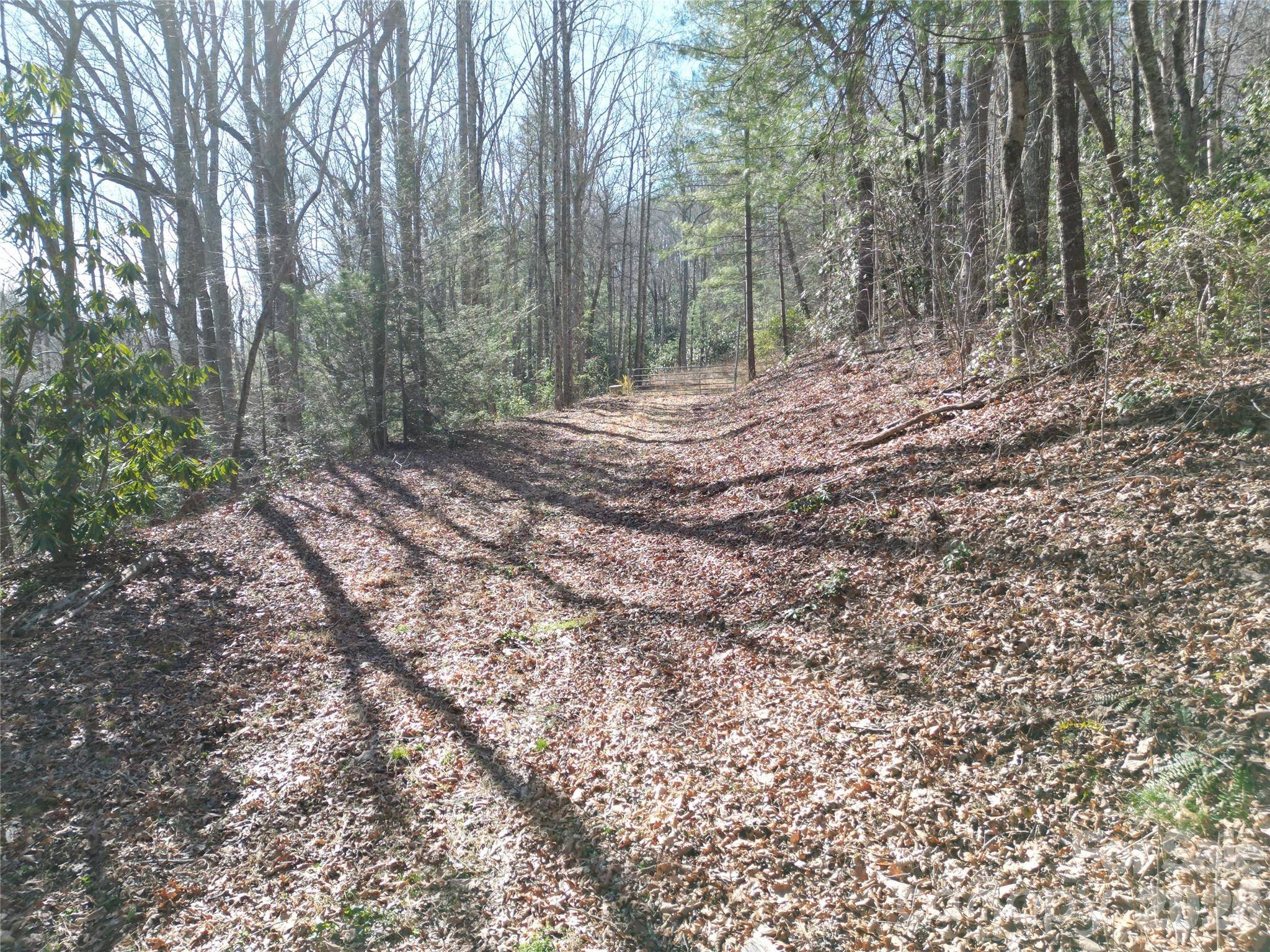 49 Reeds Creek RD, Fairview, NC 28730