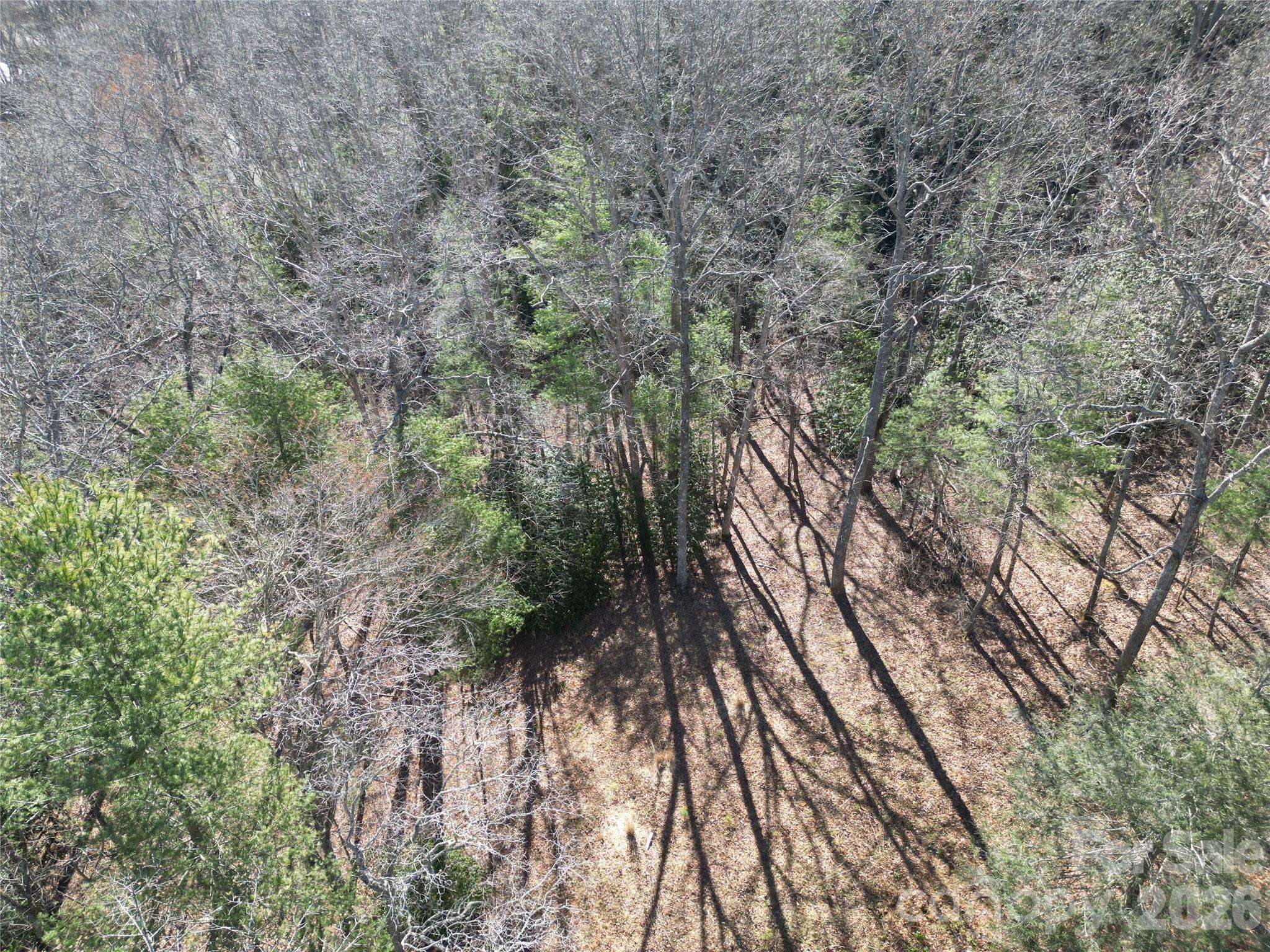 49 Reeds Creek RD, Fairview, NC 28730