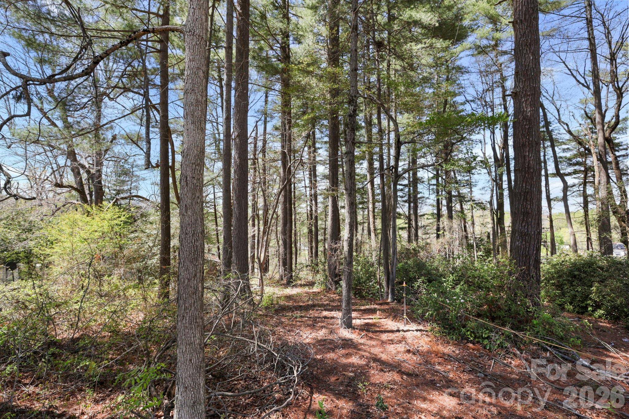 00 Toms Park CIR #21&22, Hendersonville, NC 28792