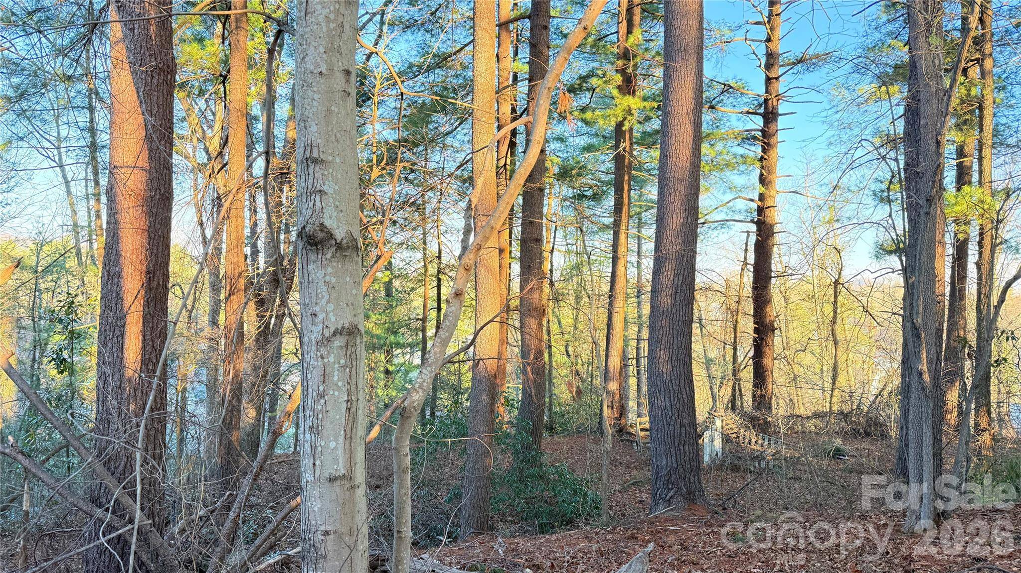 00 Toms Park CIR #21&22, Hendersonville, NC 28792