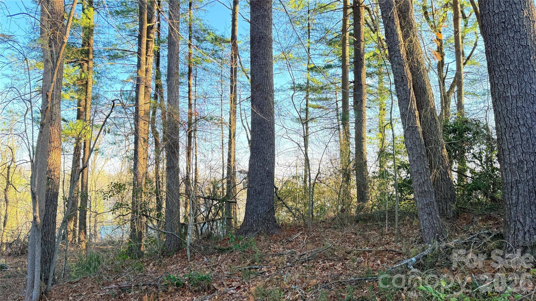 00 Toms Park CIR #21&22, Hendersonville, NC 28792