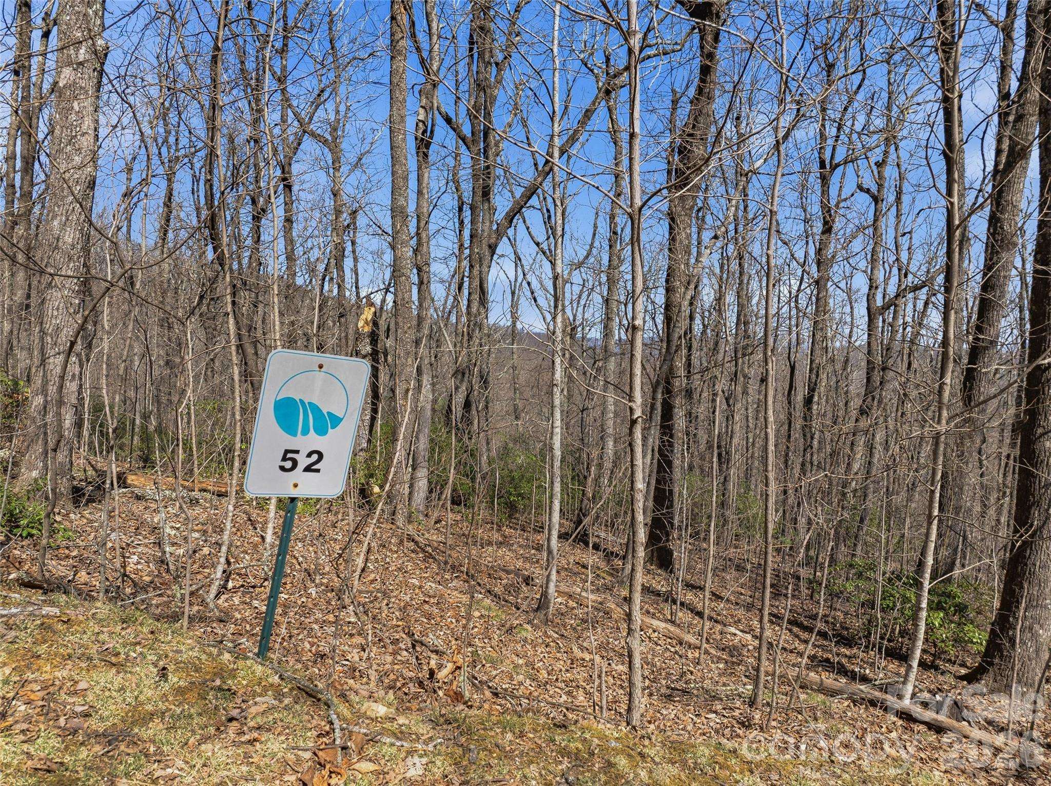 TBD Wild Magnolia WAY #52, Zirconia, NC 28790