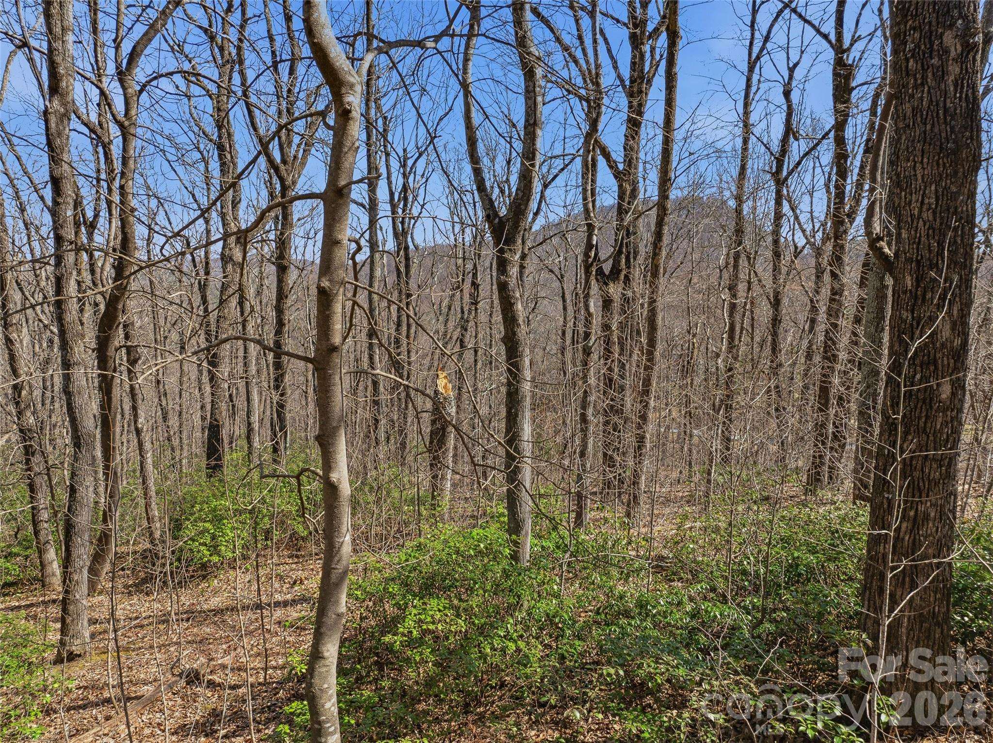 TBD Wild Magnolia WAY #52, Zirconia, NC 28790