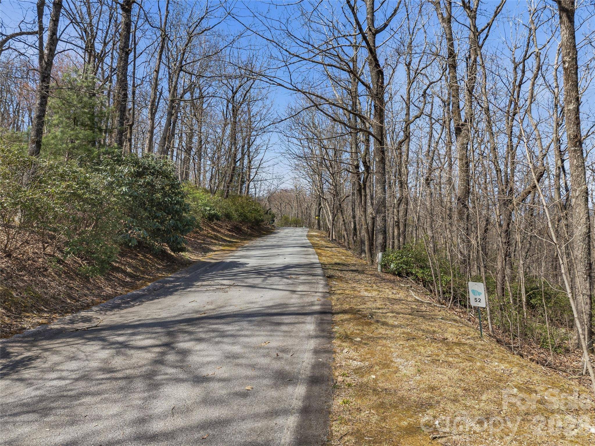 TBD Wild Magnolia WAY #52, Zirconia, NC 28790
