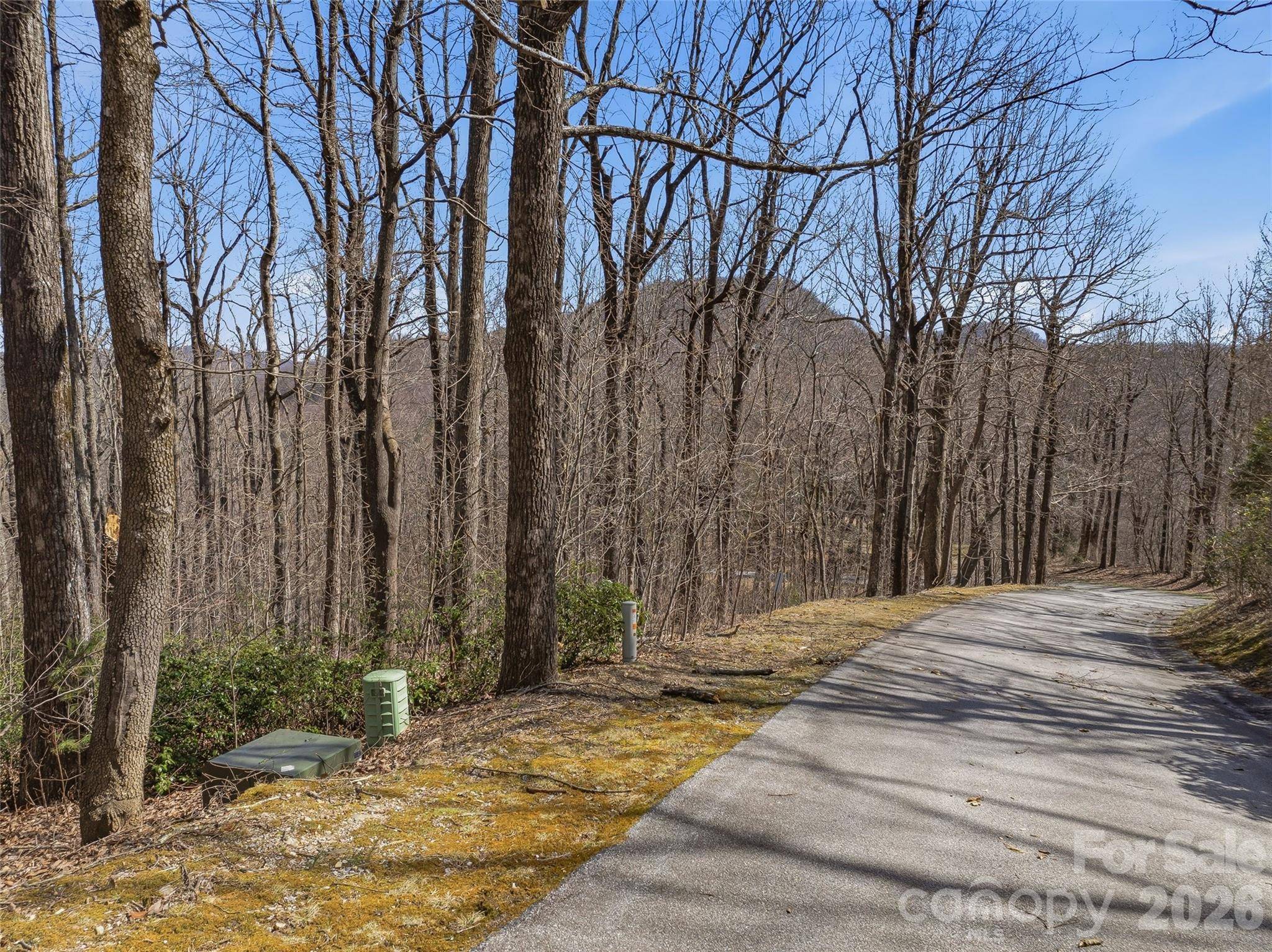 TBD Wild Magnolia WAY #52, Zirconia, NC 28790