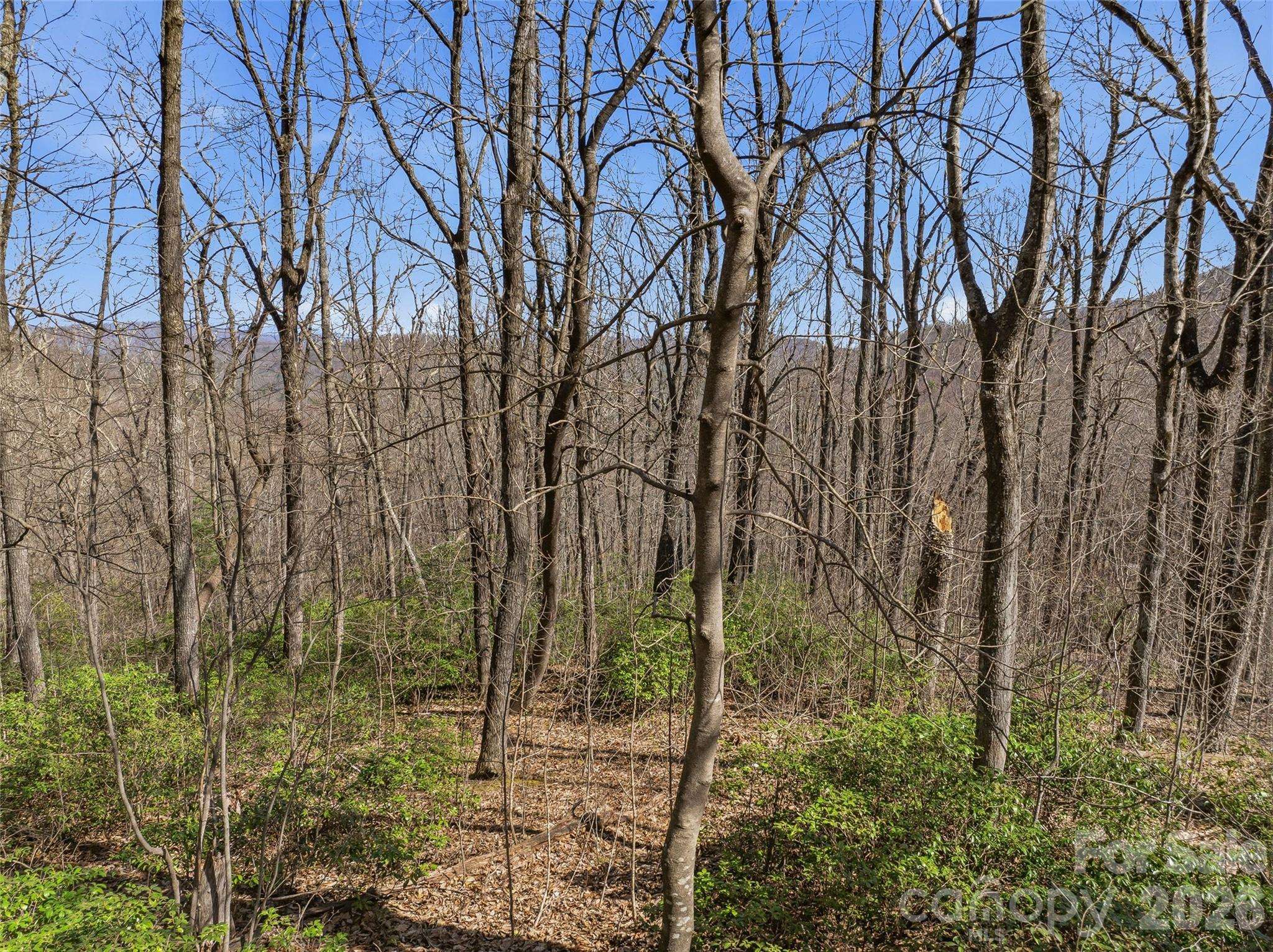 TBD Wild Magnolia WAY #52, Zirconia, NC 28790