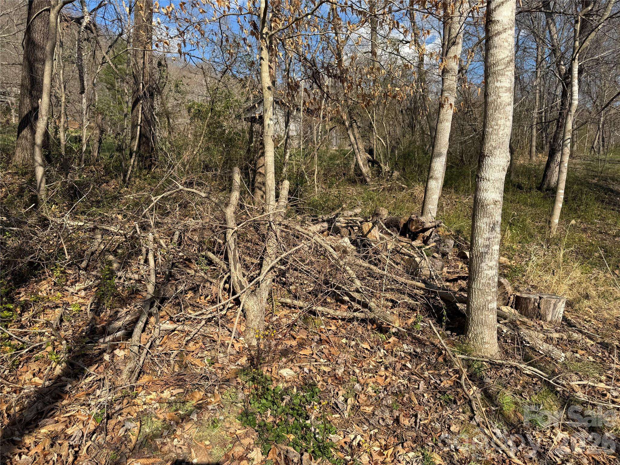 9999 Ox Creek RD, Weaverville, NC 28787