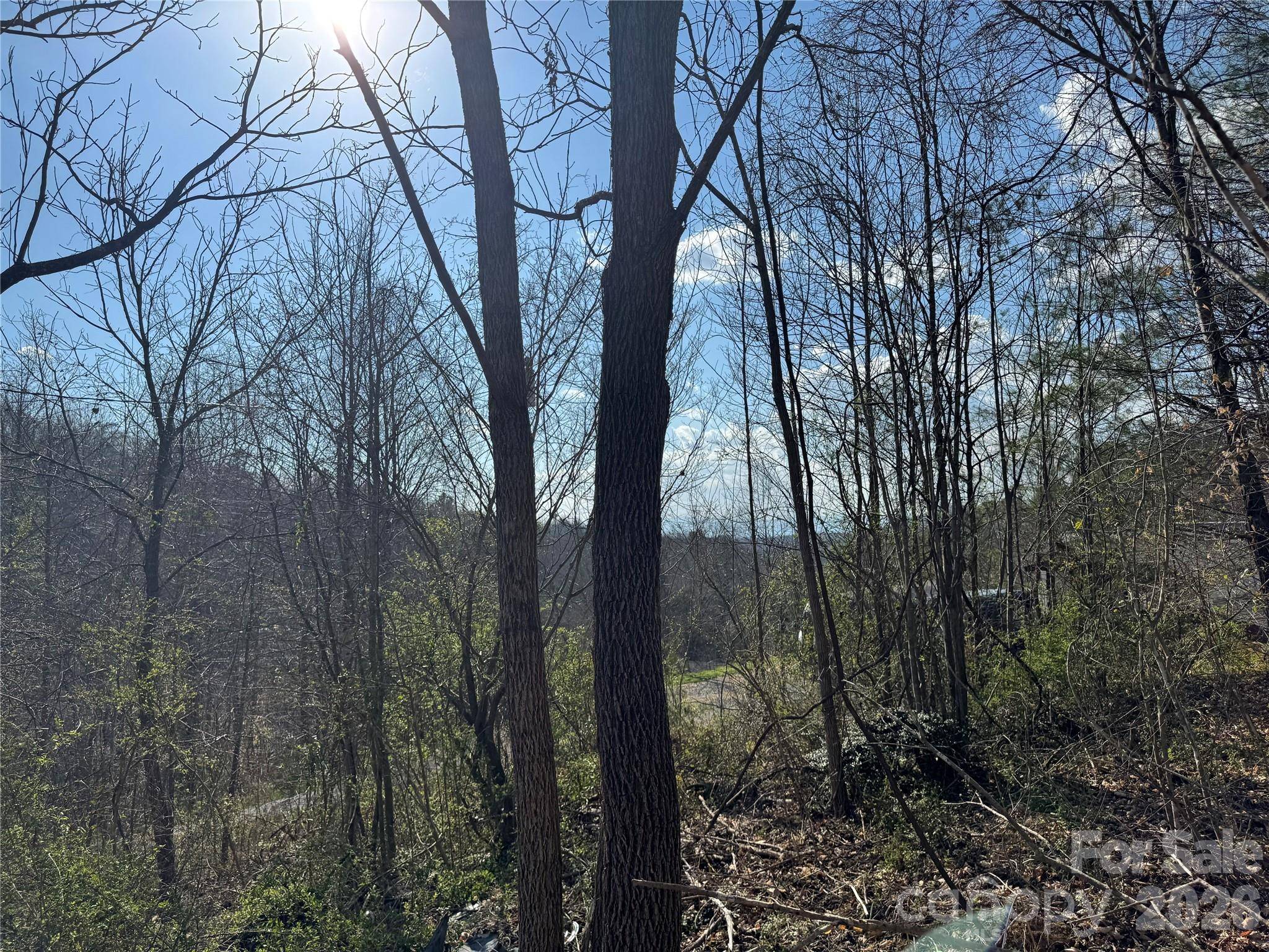 9999 Ox Creek RD, Weaverville, NC 28787