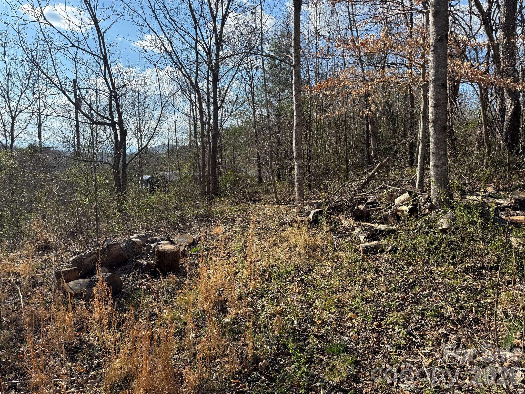 9999 Ox Creek RD, Weaverville, NC 28787