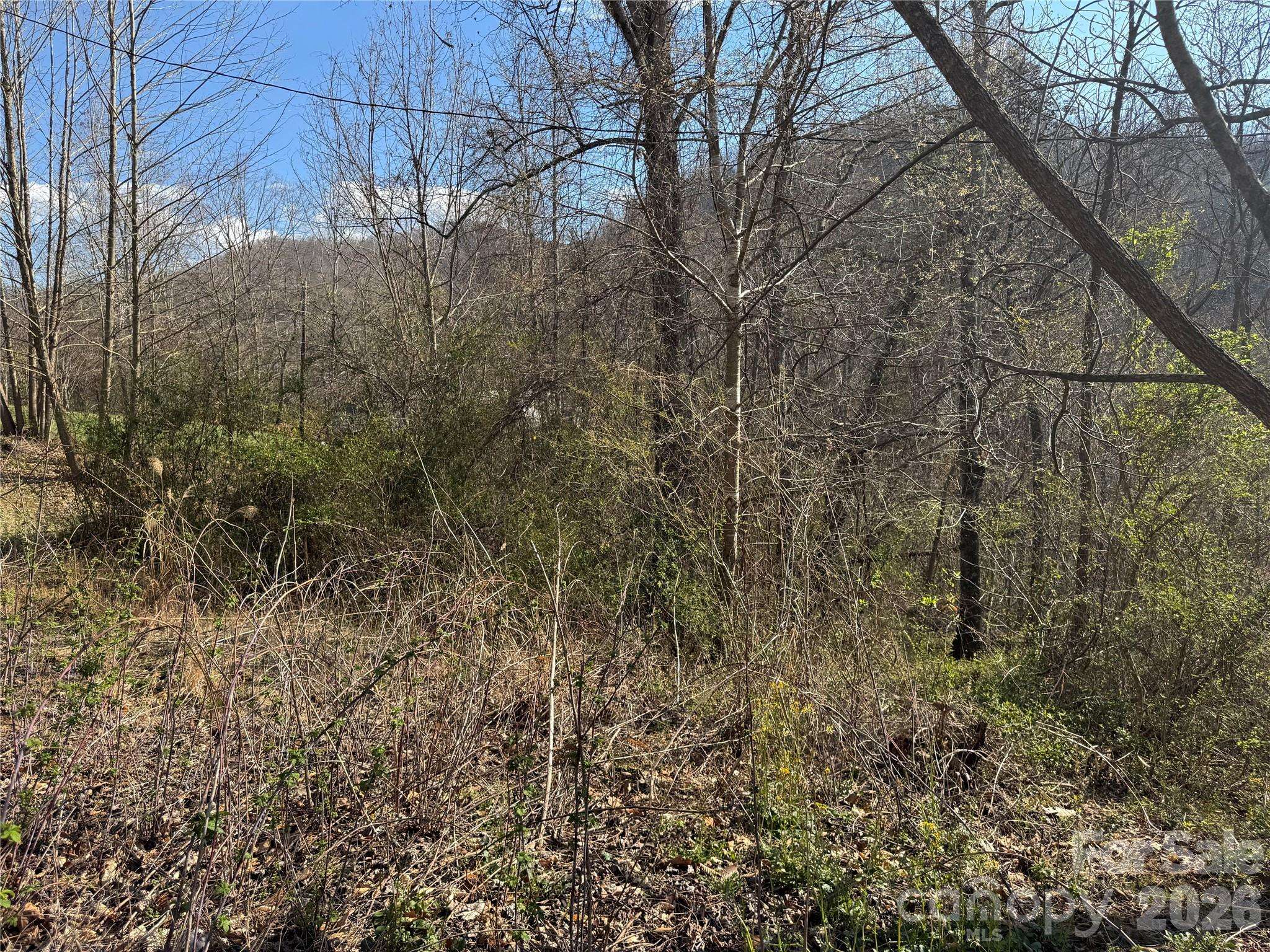 9999 Ox Creek RD, Weaverville, NC 28787