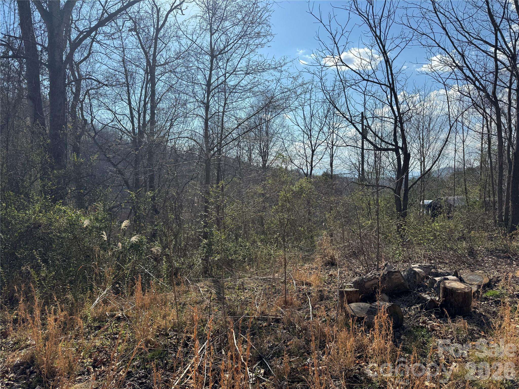 9999 Ox Creek RD, Weaverville, NC 28787
