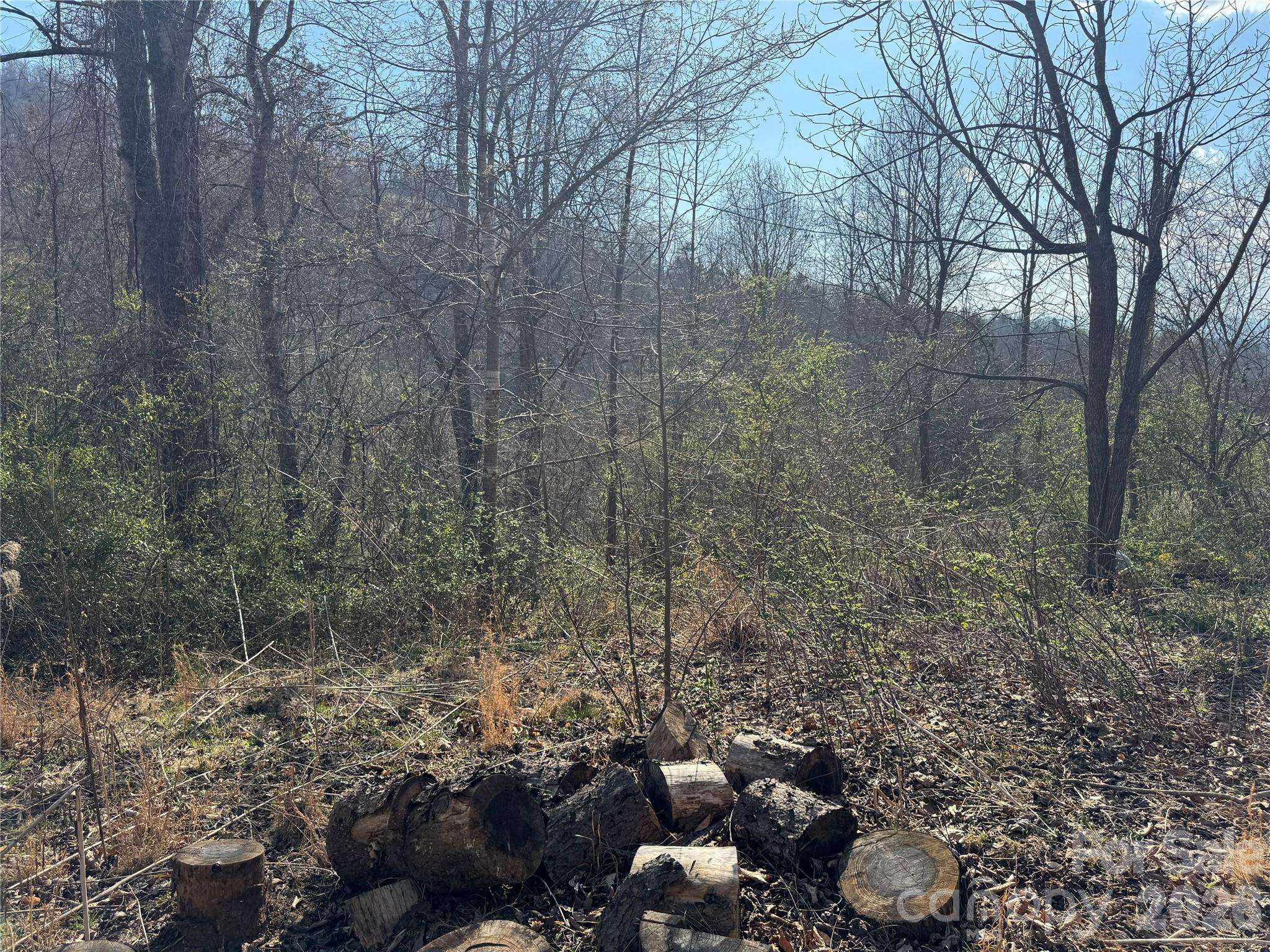 9999 Ox Creek RD, Weaverville, NC 28787