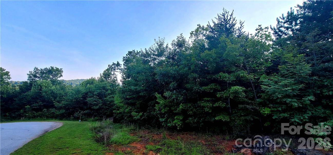 Lot 59 Bear Cliff WAY, Lake Lure, NC 28746