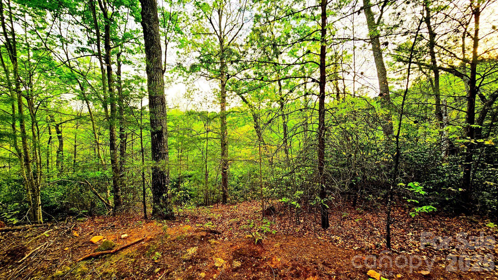 Lot 59 Bear Cliff WAY, Lake Lure, NC 28746