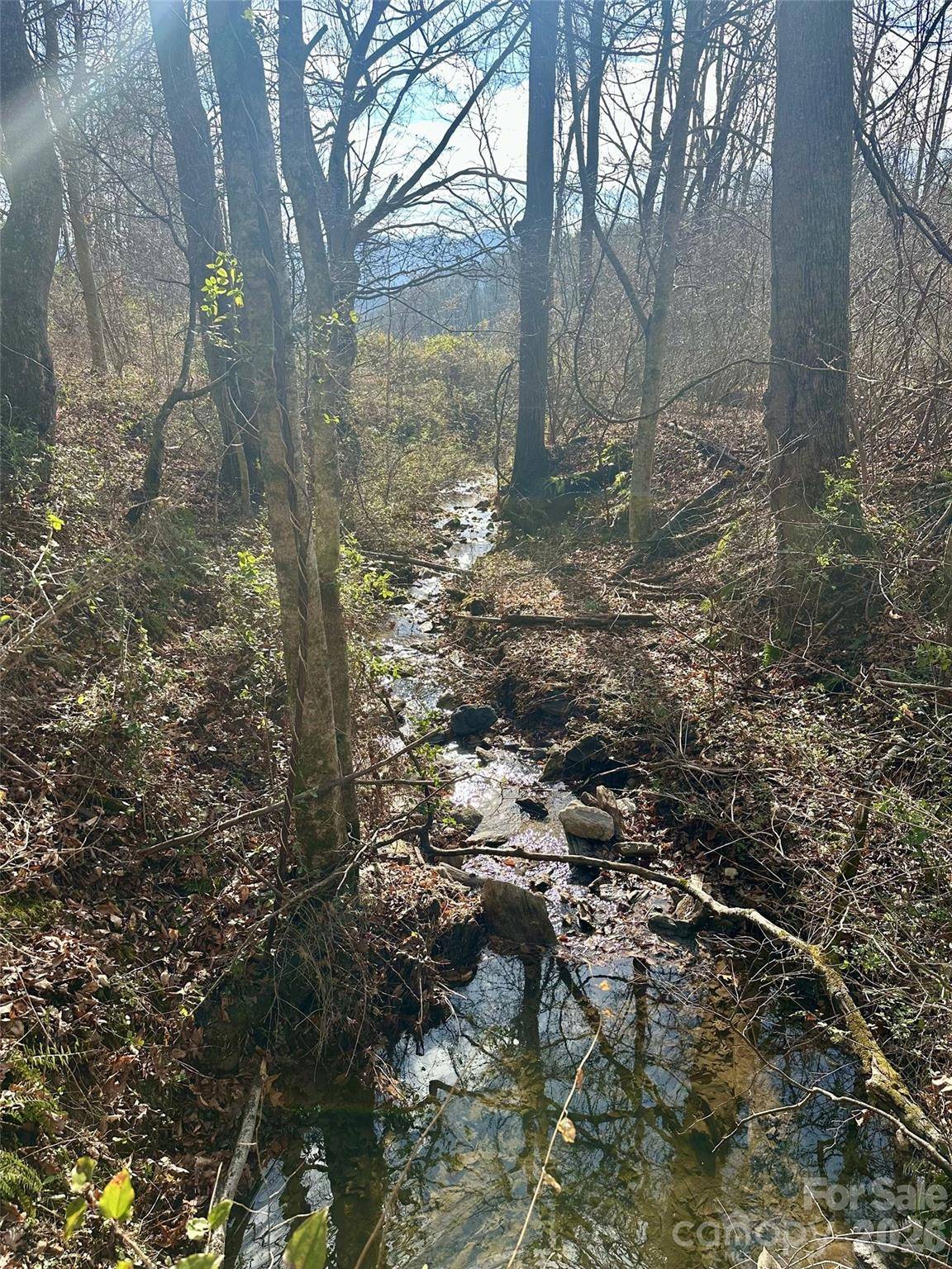 00 Queen Cove RD, Waynesville, NC 28785
