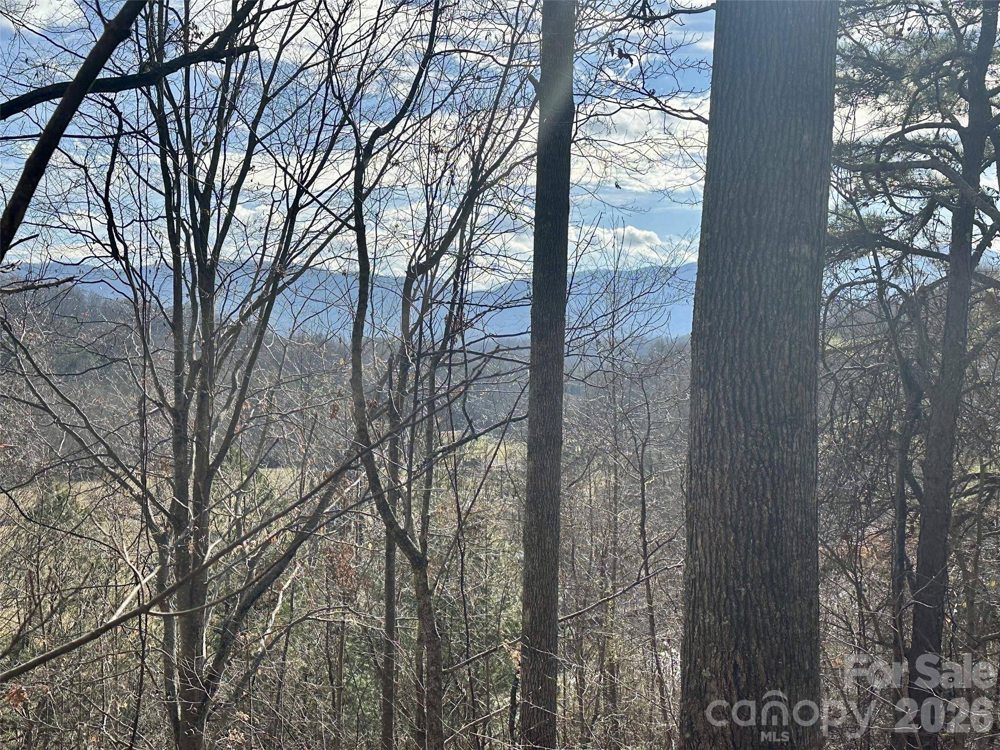 00 Queen Cove RD, Waynesville, NC 28785