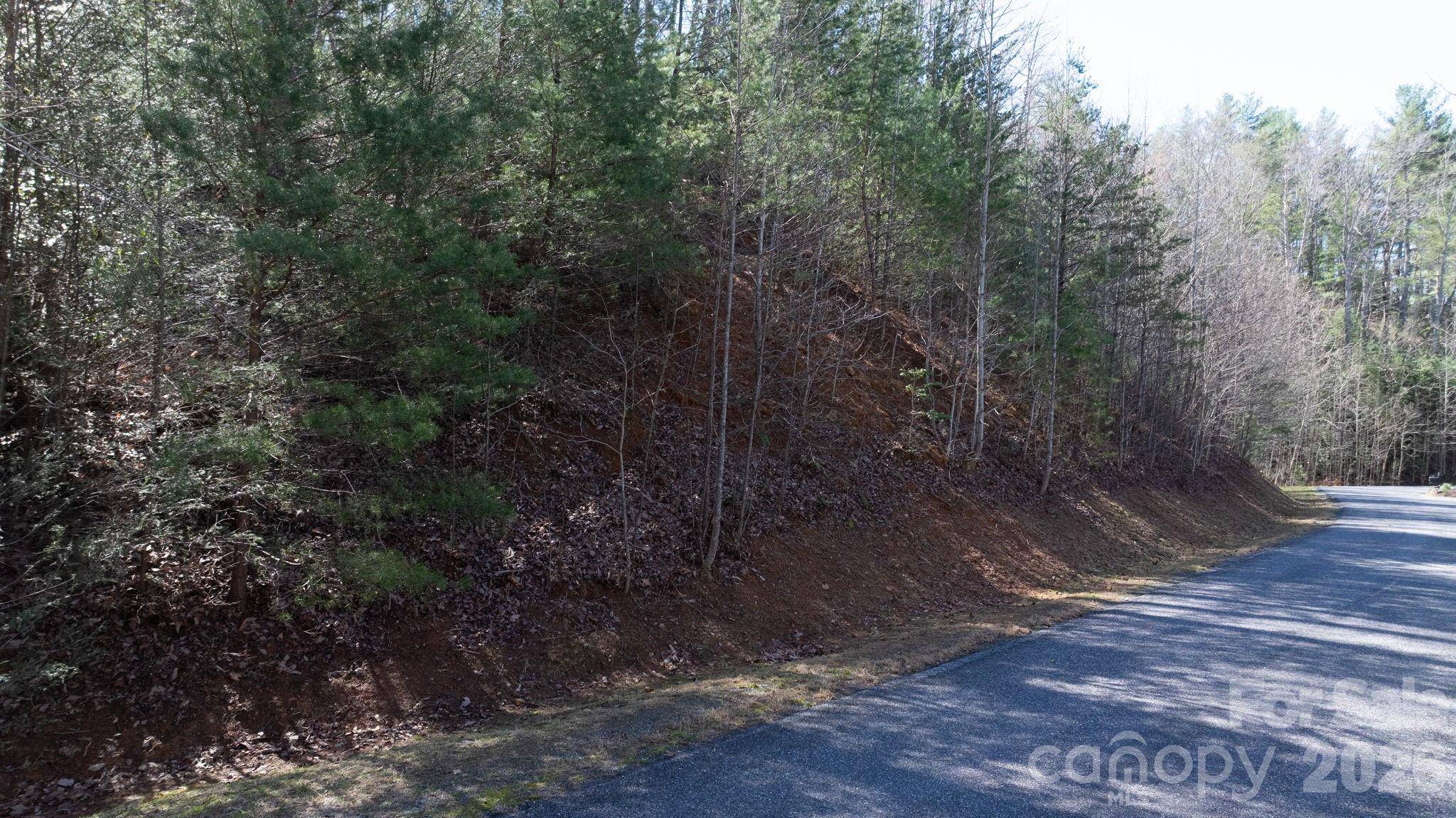 1342 High Trail DR #Lot 27-11, Nebo, NC 28761
