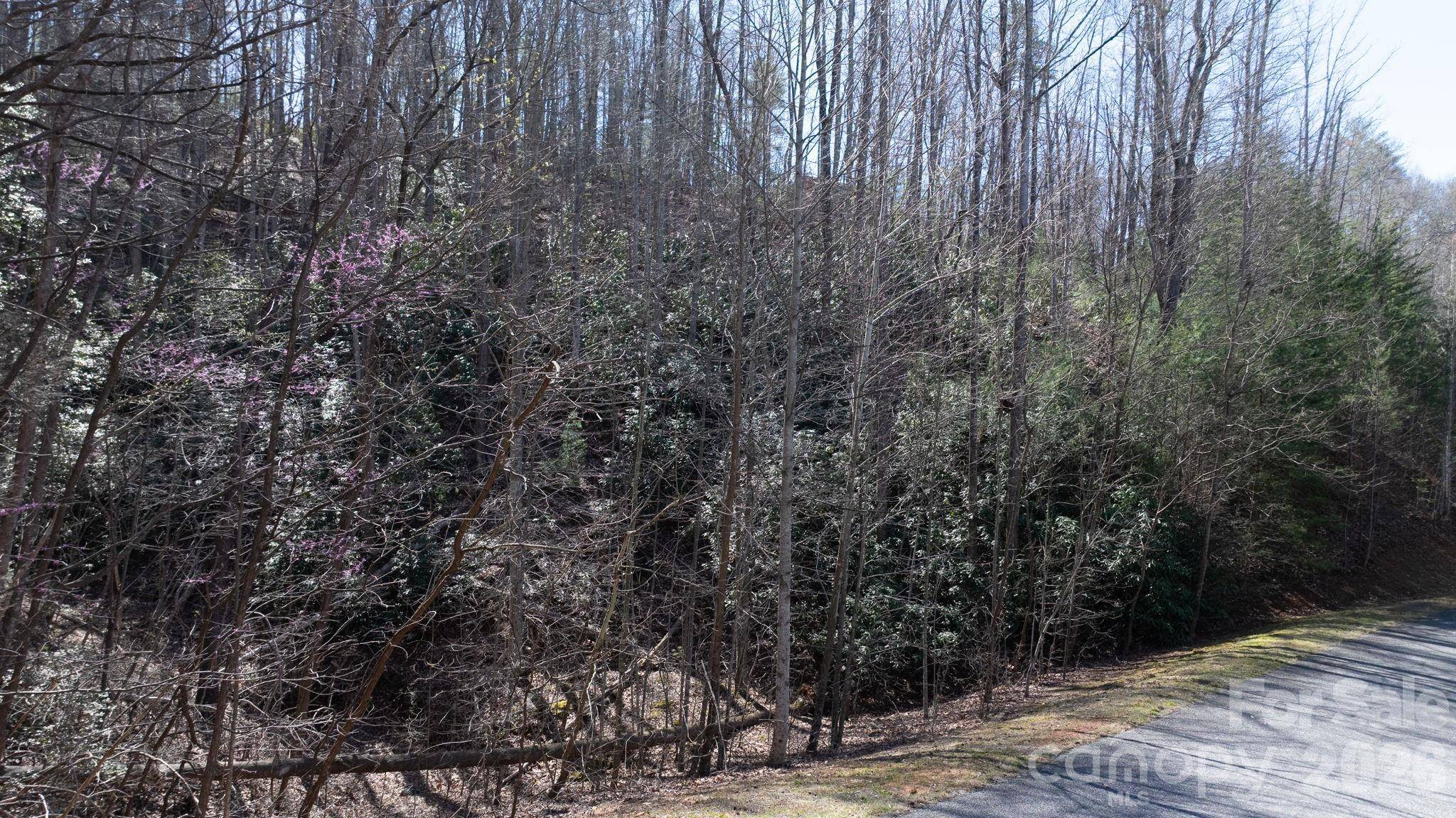 1342 High Trail DR #Lot 27-11, Nebo, NC 28761