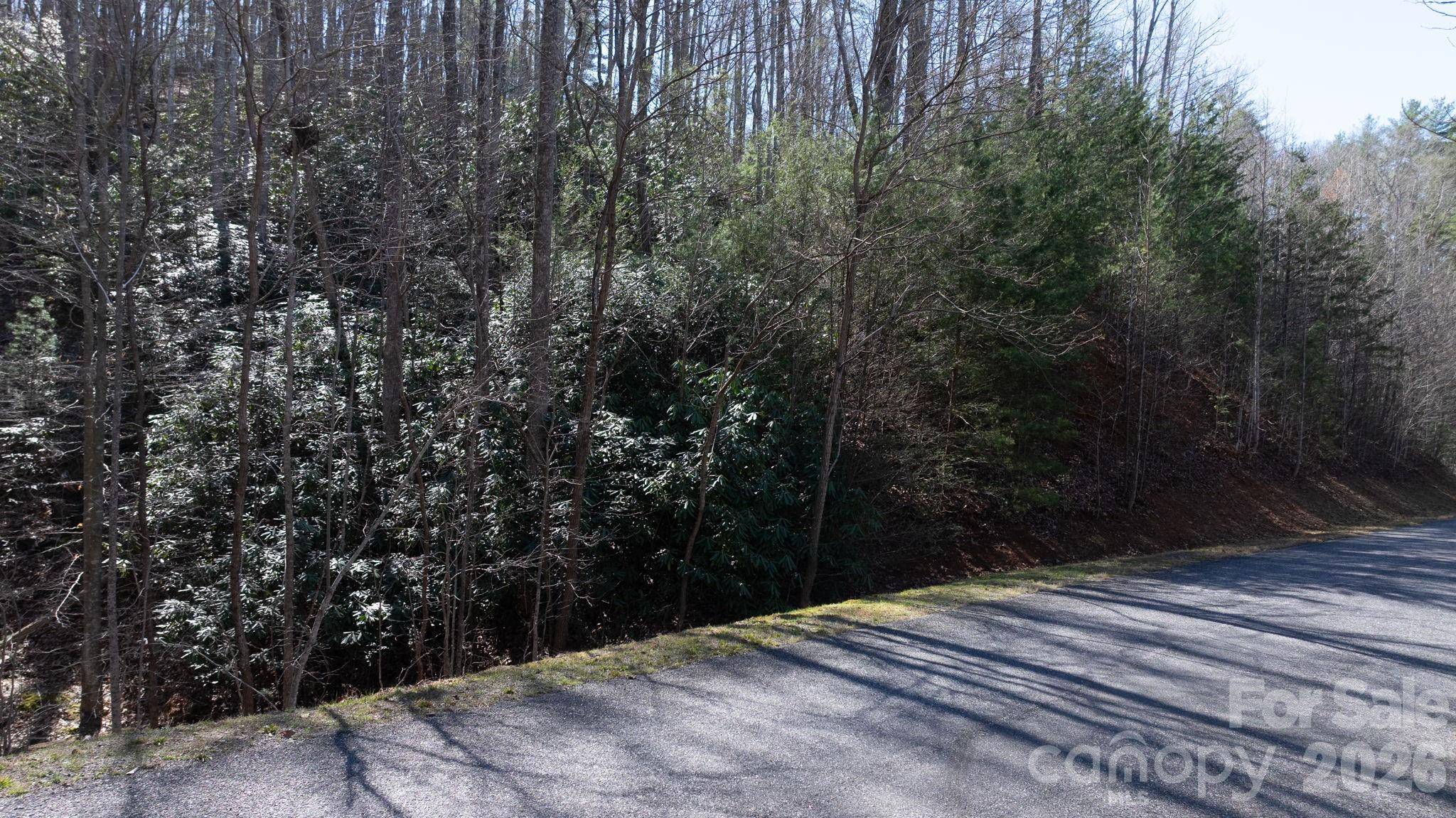1342 High Trail DR #Lot 27-11, Nebo, NC 28761