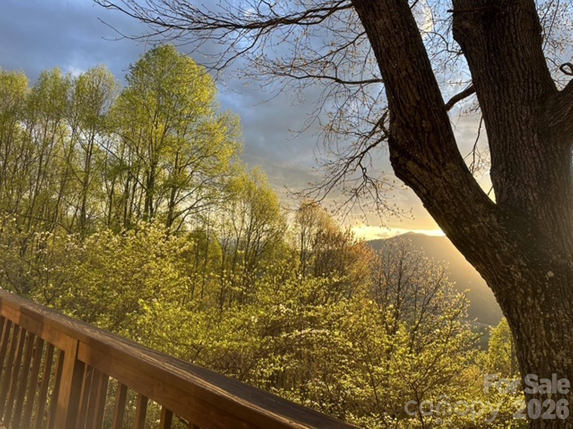 415 Treetop LN, Waynesville, NC 28785