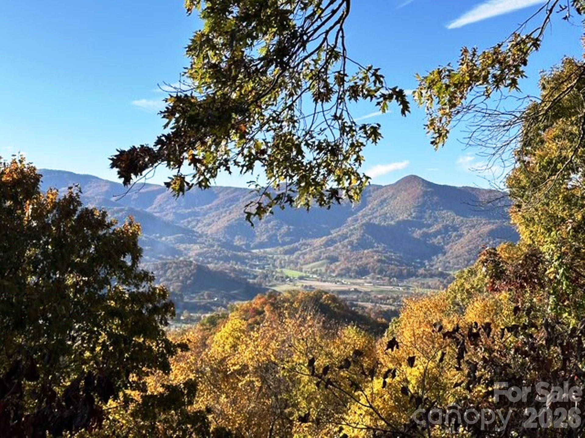 415 Treetop LN, Waynesville, NC 28785