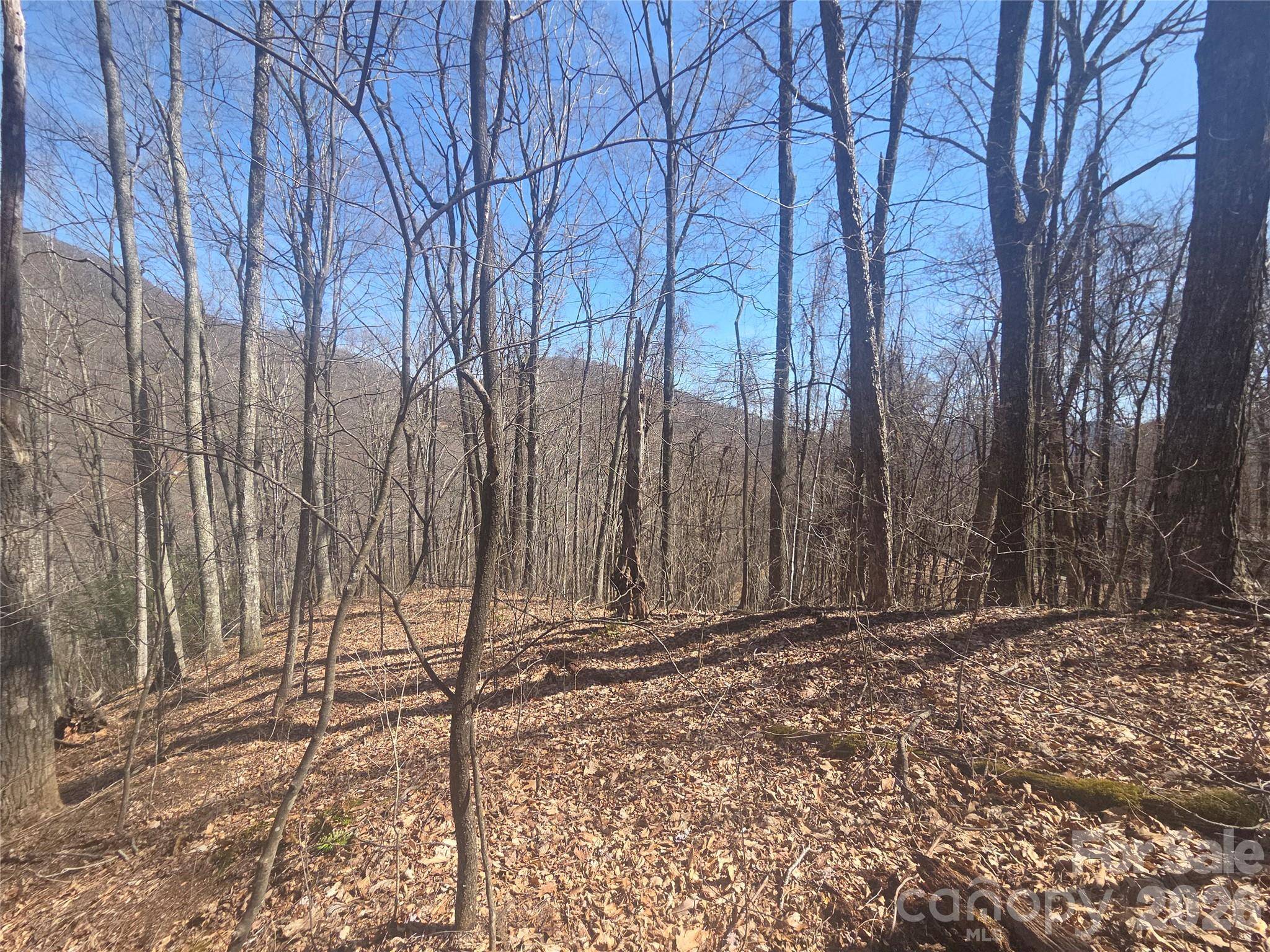 820 Chestnut Flats LN #4, Waynesville, NC 28786