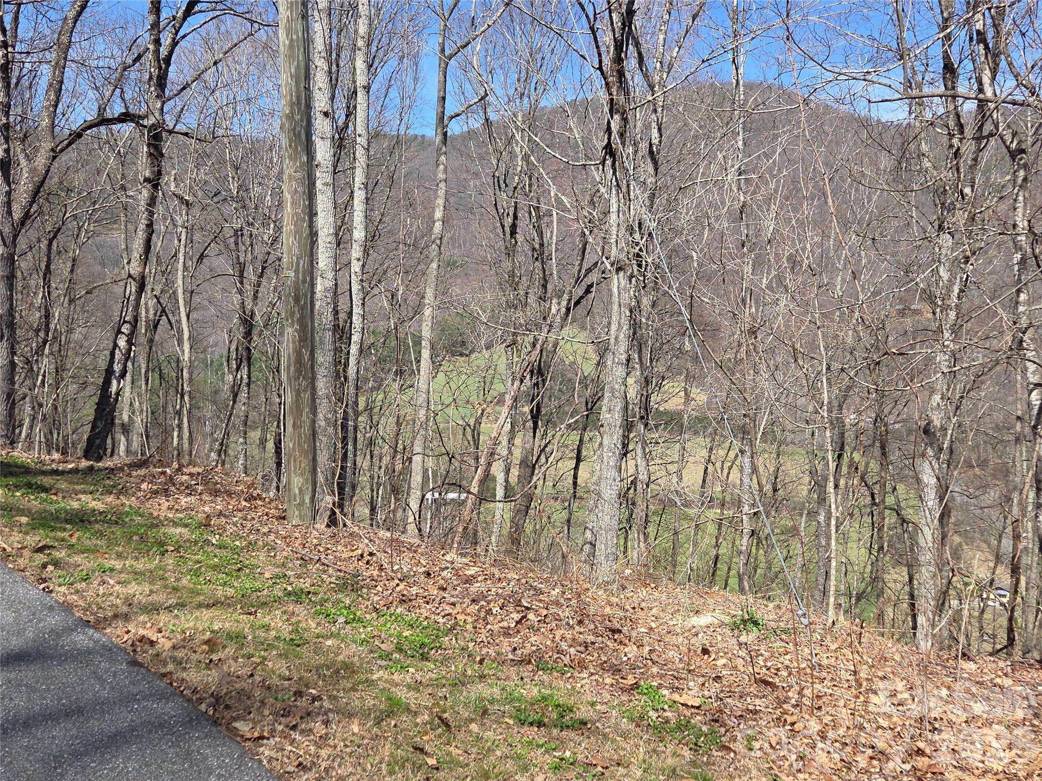 820 Chestnut Flats LN #4, Waynesville, NC 28786
