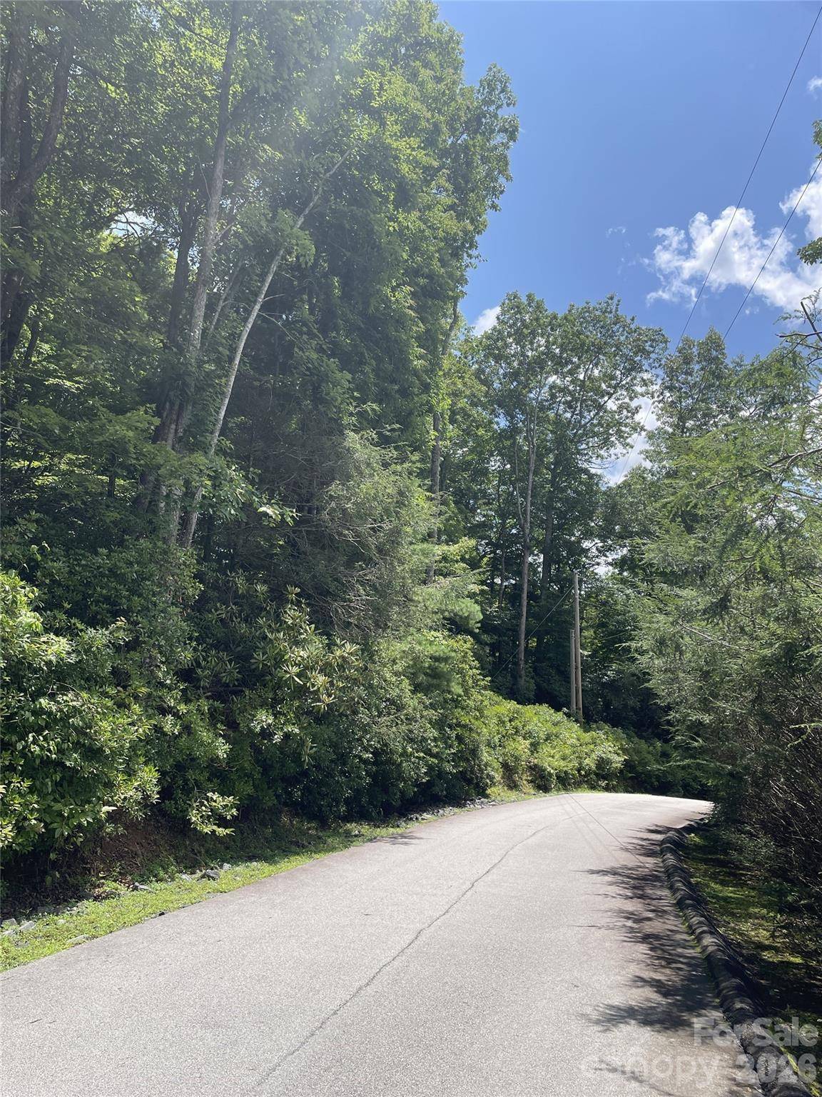 00 Winterstar LOOP #17, Burnsville, NC 28714