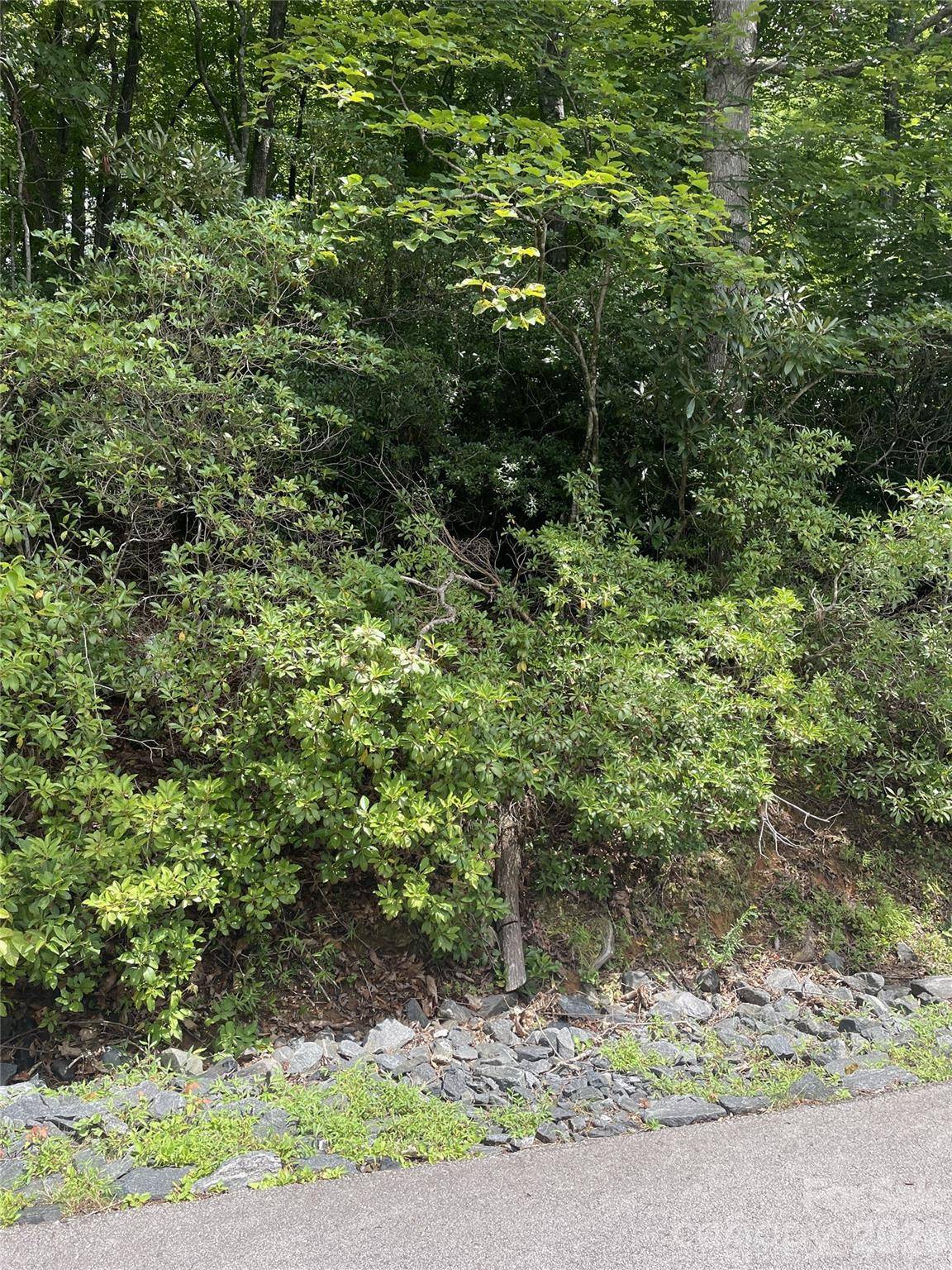 00 Winterstar LOOP #17, Burnsville, NC 28714