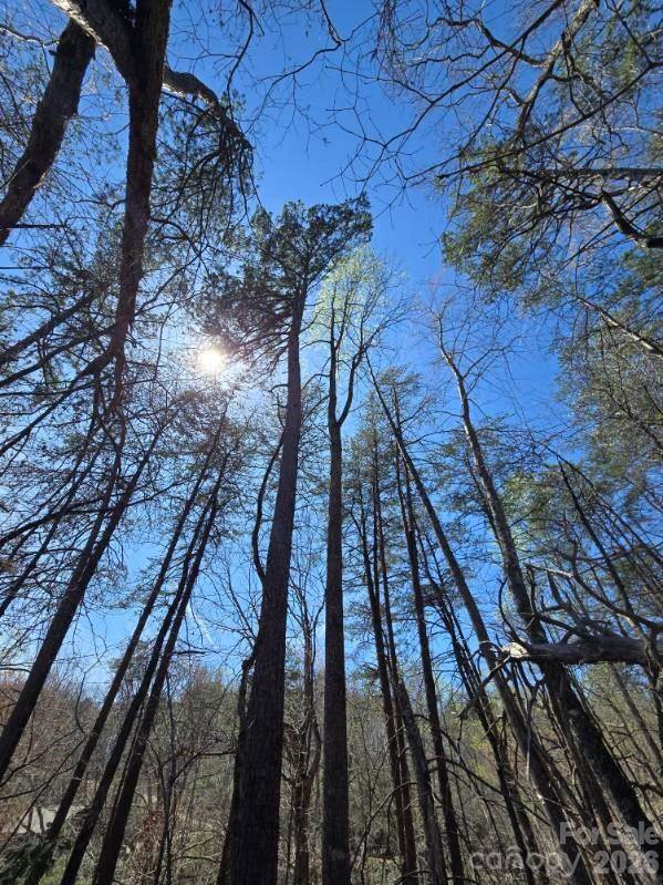 284 Oriole DR, Lake Lure, NC 28746